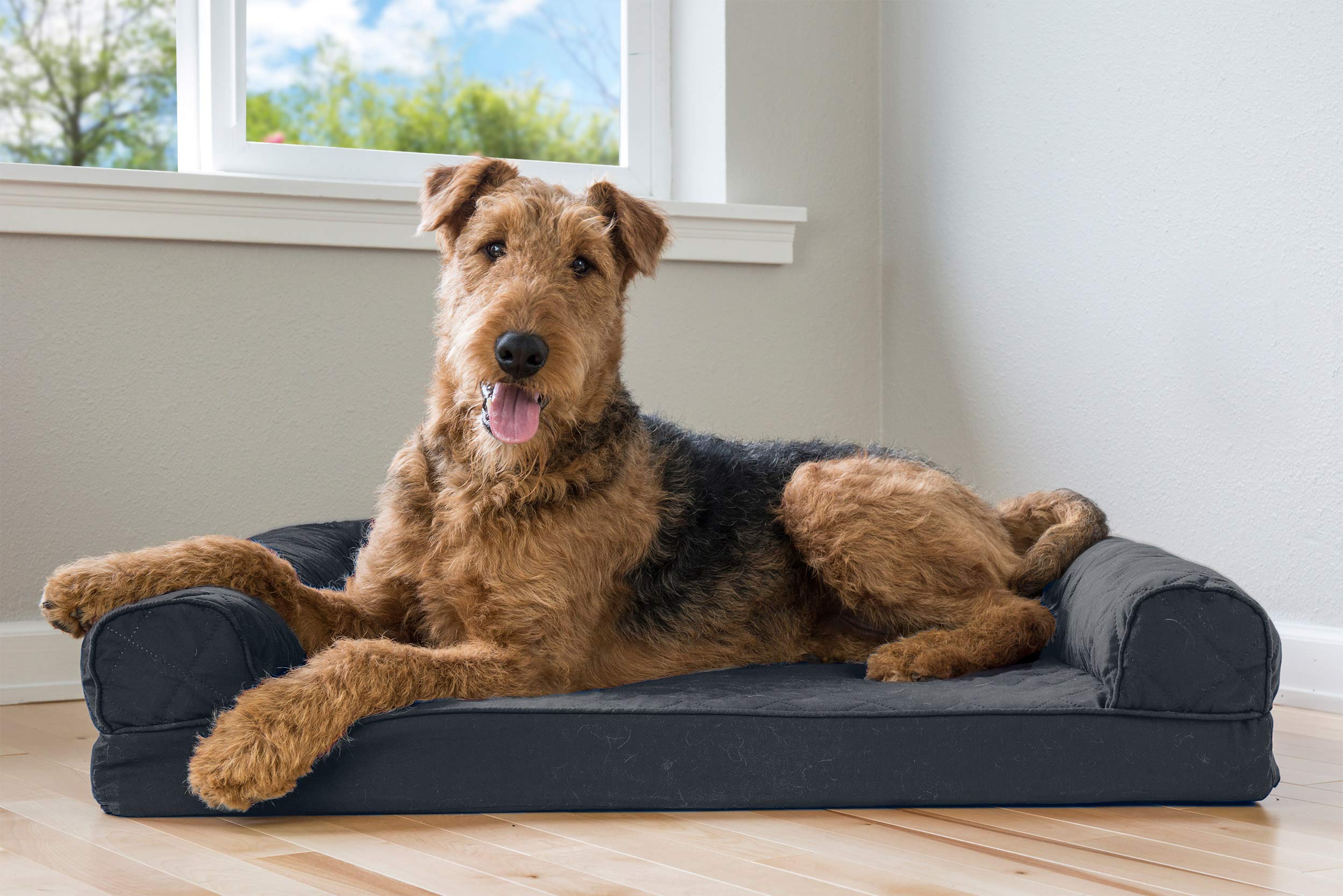 Furhaven Memory Foam Dog Bed for Large/Medium Dogs w/ Removable Bolsters & Washable Cover, For Dogs Up to 55 lbs - Quilted Sofa