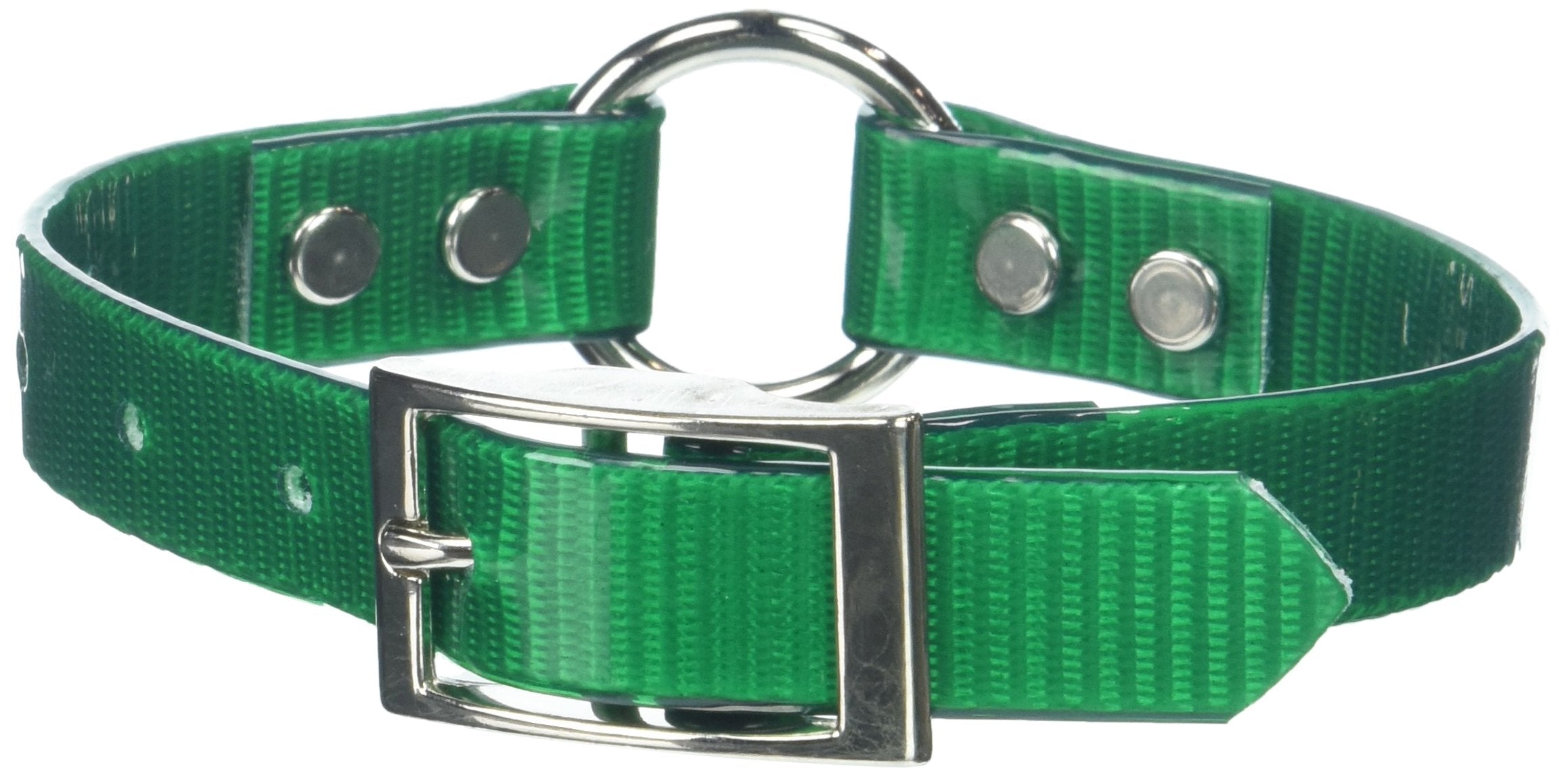 Omnipet 3/4 X 16 Sunglo Ring In Center Style Collar, Medium, Green