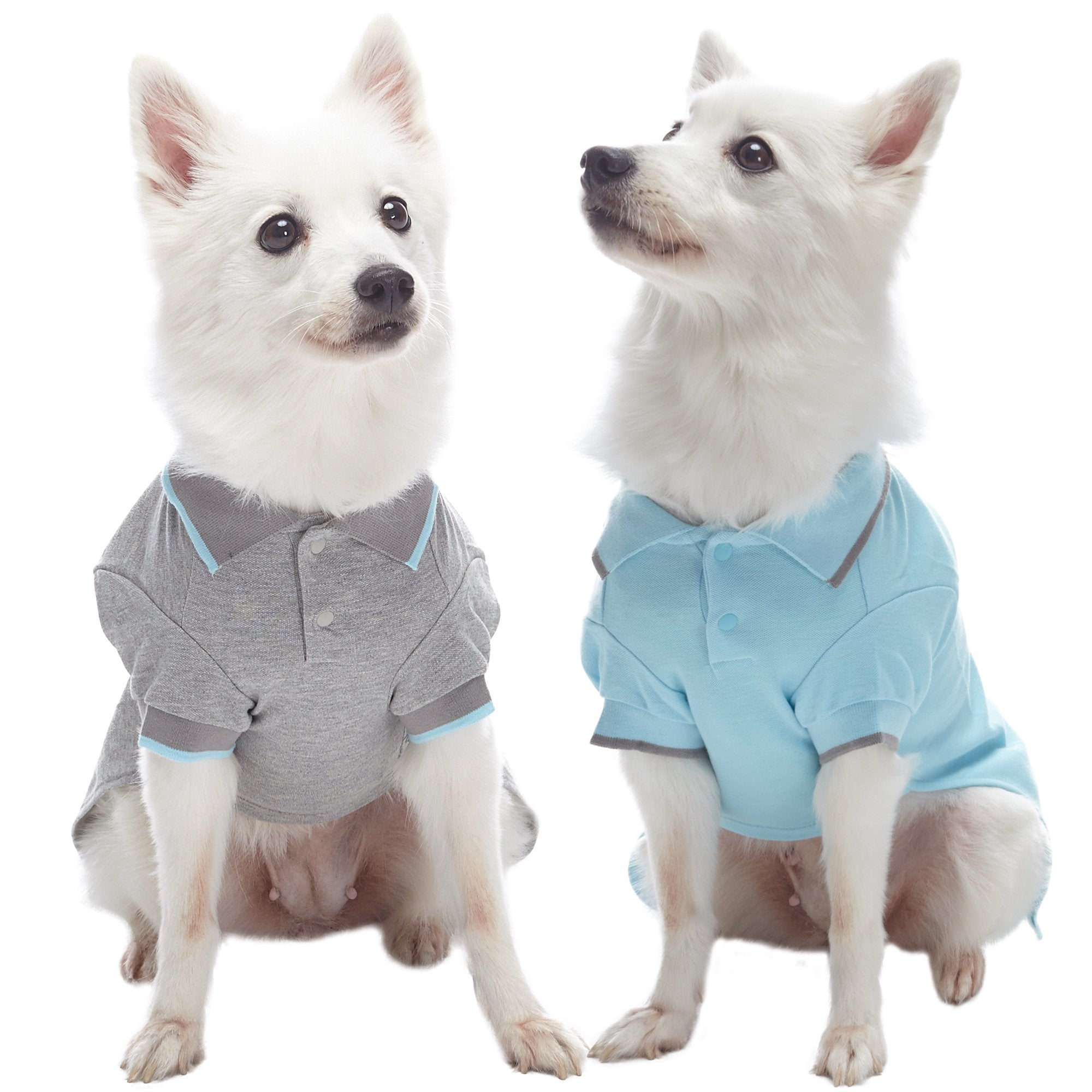 Blueberry Pet Back to School 2-Pack Prep School Style Dog Polo Shirts | Cotton Outfit for Small Pets in Sky Blue + Light Grey, B