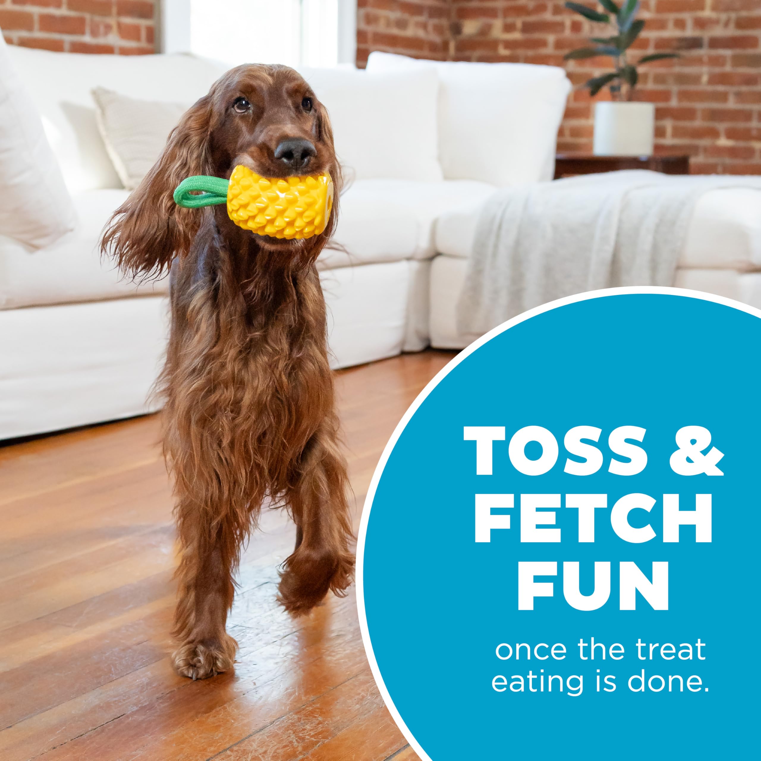 Outward Hound By Planet Dog Dental Pineapple 2-In-1 Interactive Dog Chew Toy And Treat Stuffer, Medium, Yellow