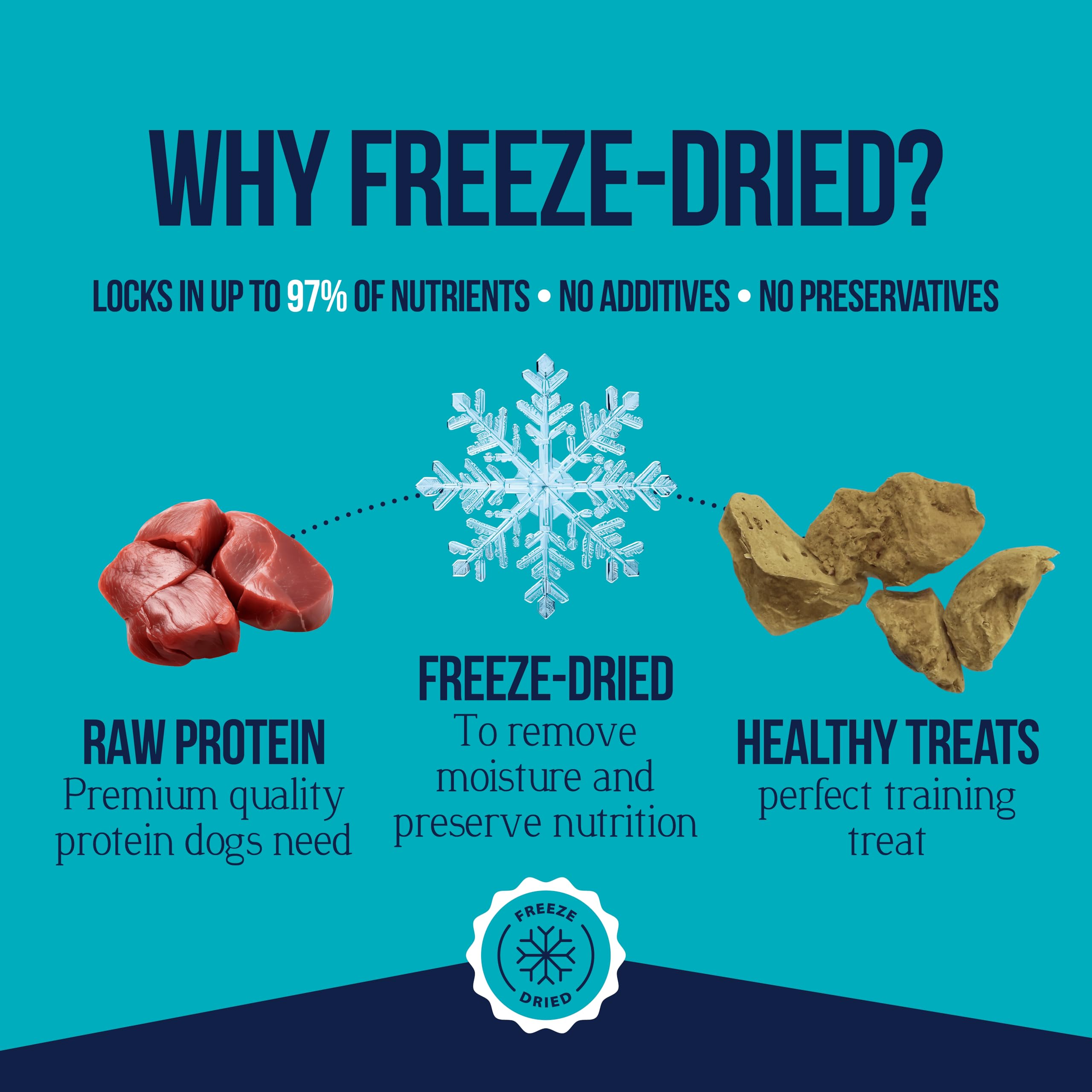 Stewart Single Ingredient Freeze Dried Raw Dog Treats, Chicken Liver, 2.5 Ounce Resealable Pouch, Training Treats or Meal Topper