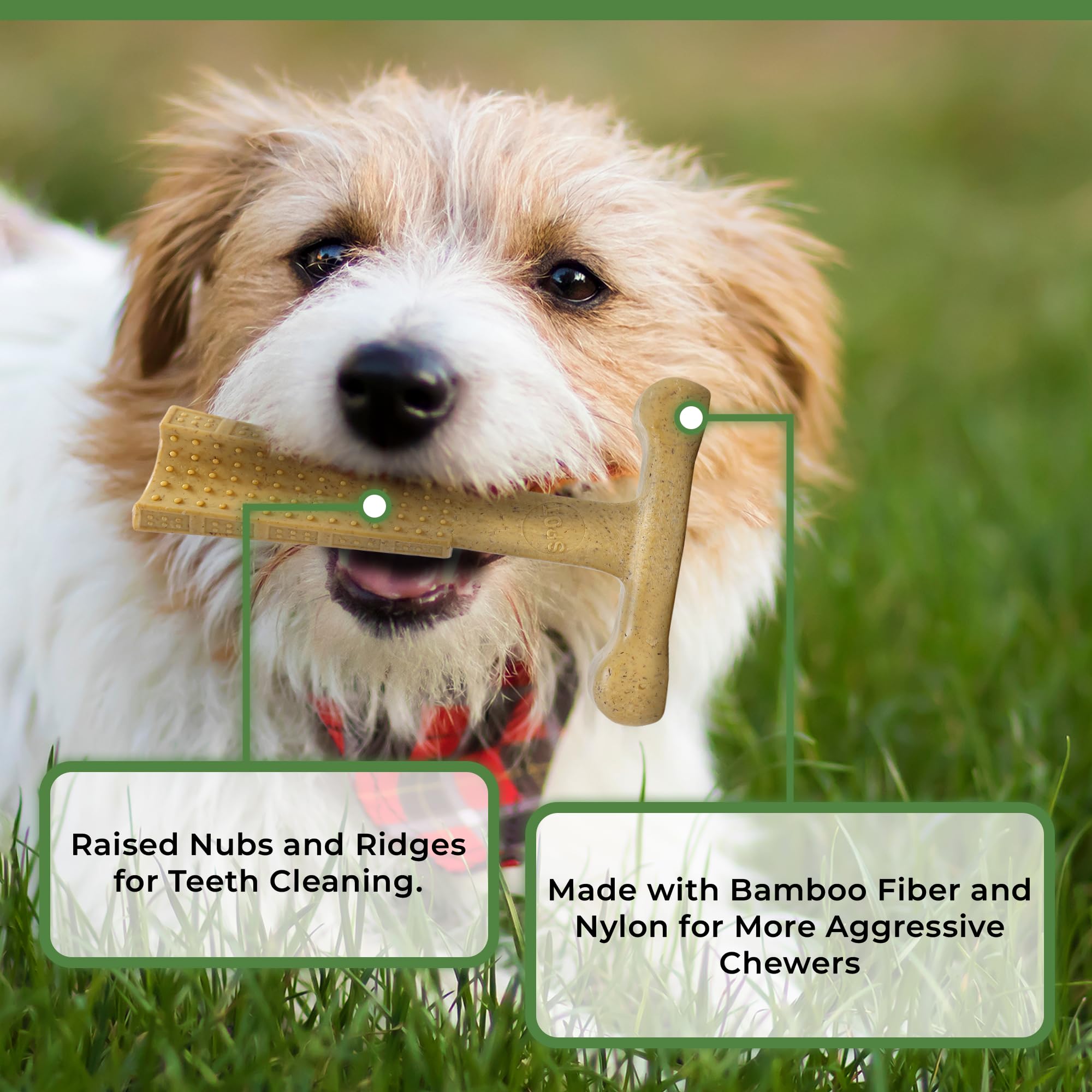 Spot Bam-Bones Plus T Bone - Bamboo Fiber & Nylon, Durable Long Lasting Dog Chew For Aggressive Chewers - Great Toy Foradult Dog
