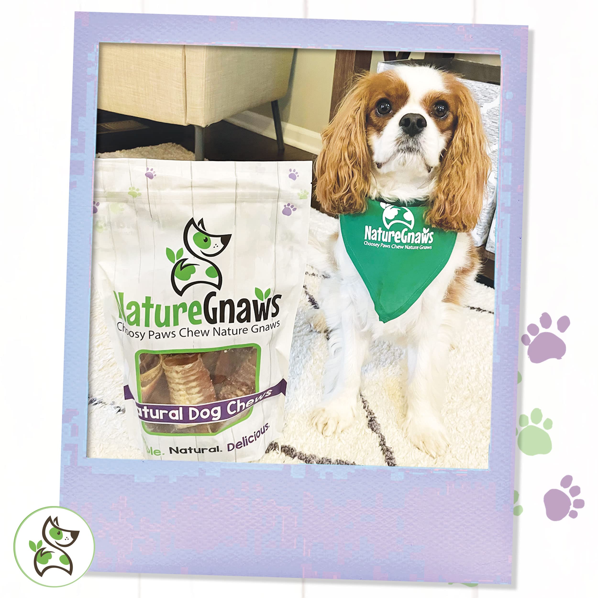 Nature Gnaws Beef Trachea Chews for Dogs 3 (12 Count) - Long Lasting Natural Crunchy Dog Chew Bones - Rawhide Free