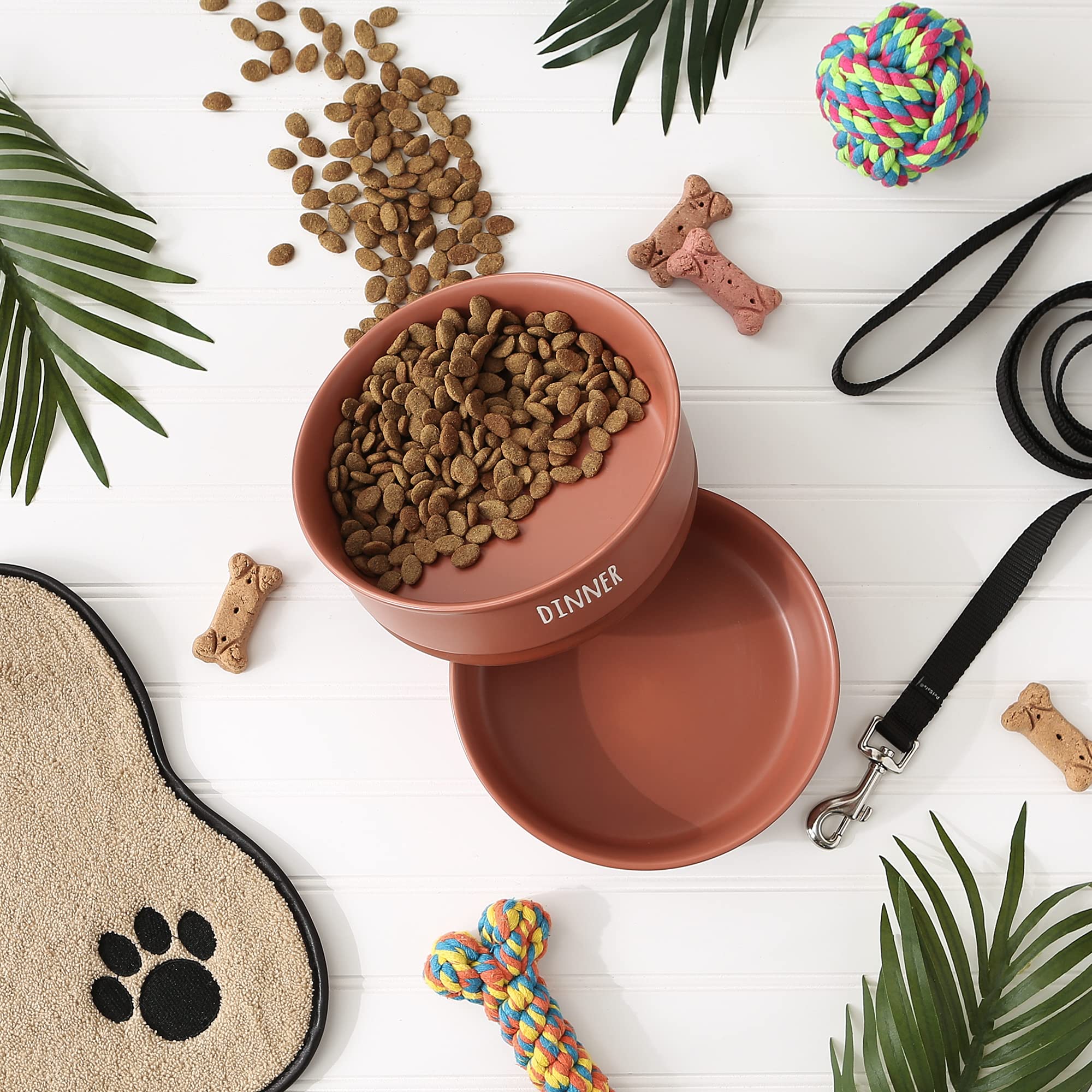 Bone Dry Ceramic Pet Bowls for Dogs & Cats Dishwasher & Microwave Safe, Non-Slip Bottom for Secure Feeding with Less Mess, Large