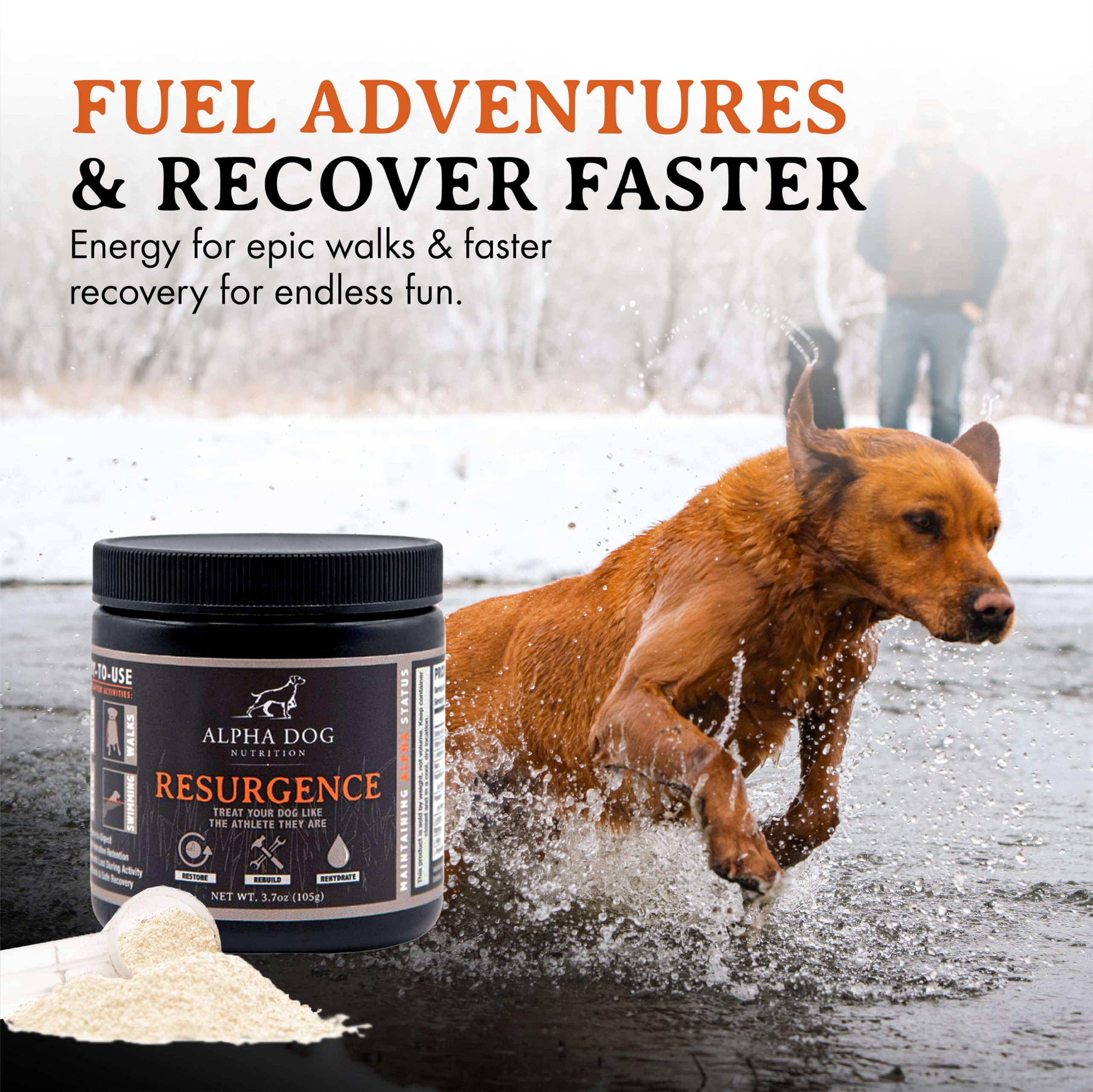 Alpha Dog Nutrition Resurgence Dog Electrolytes - 800 Servings Beef Flavor Hydration & Recovery Supplement