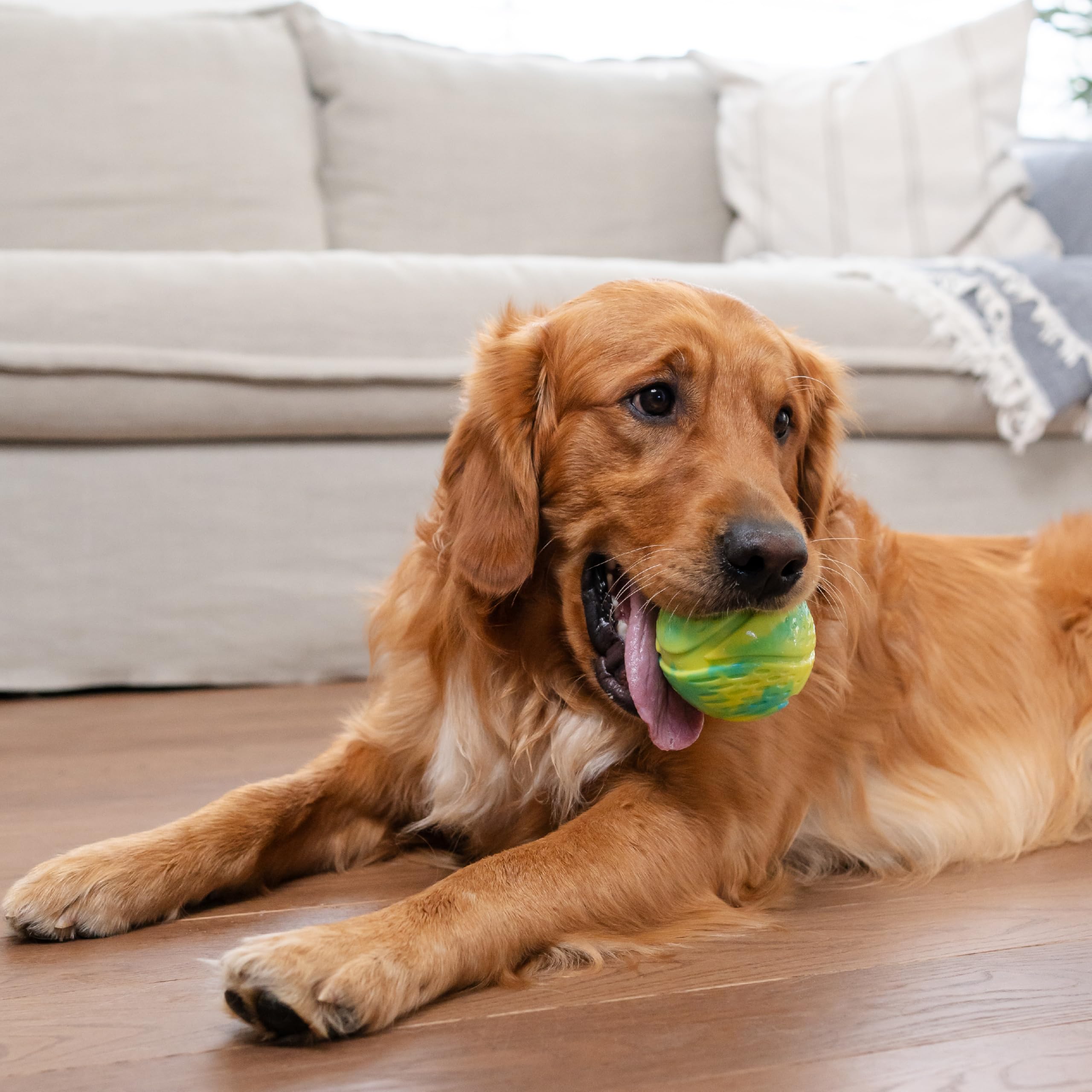 Outward Hound Grunt N Punt Tennis Ball - Fetch Ball Dog Toy, Multi