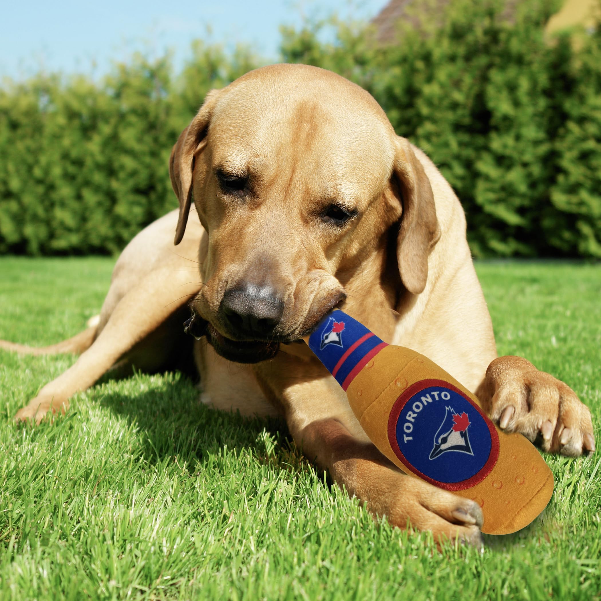 Pets First Mlb Toronto Blue Jays Stadium Beer Bottle Plush Dog Toy-Cutest Plush Toy For Dogs & Cats With Inner Squeaker & Premiu