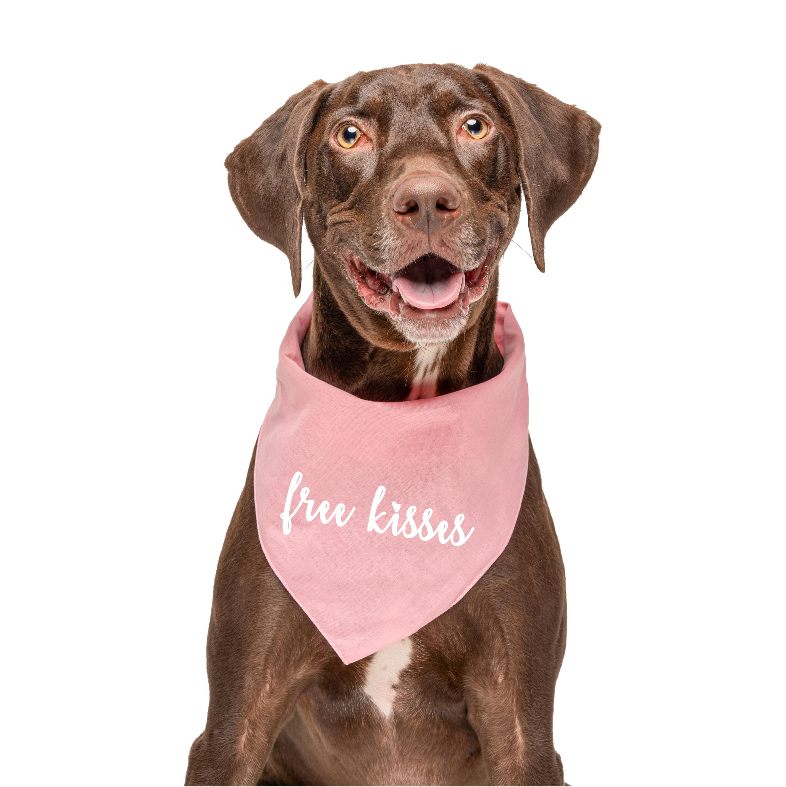 Free Kisses Valentine'S Day Dog Bandana (36 Green, One Size)