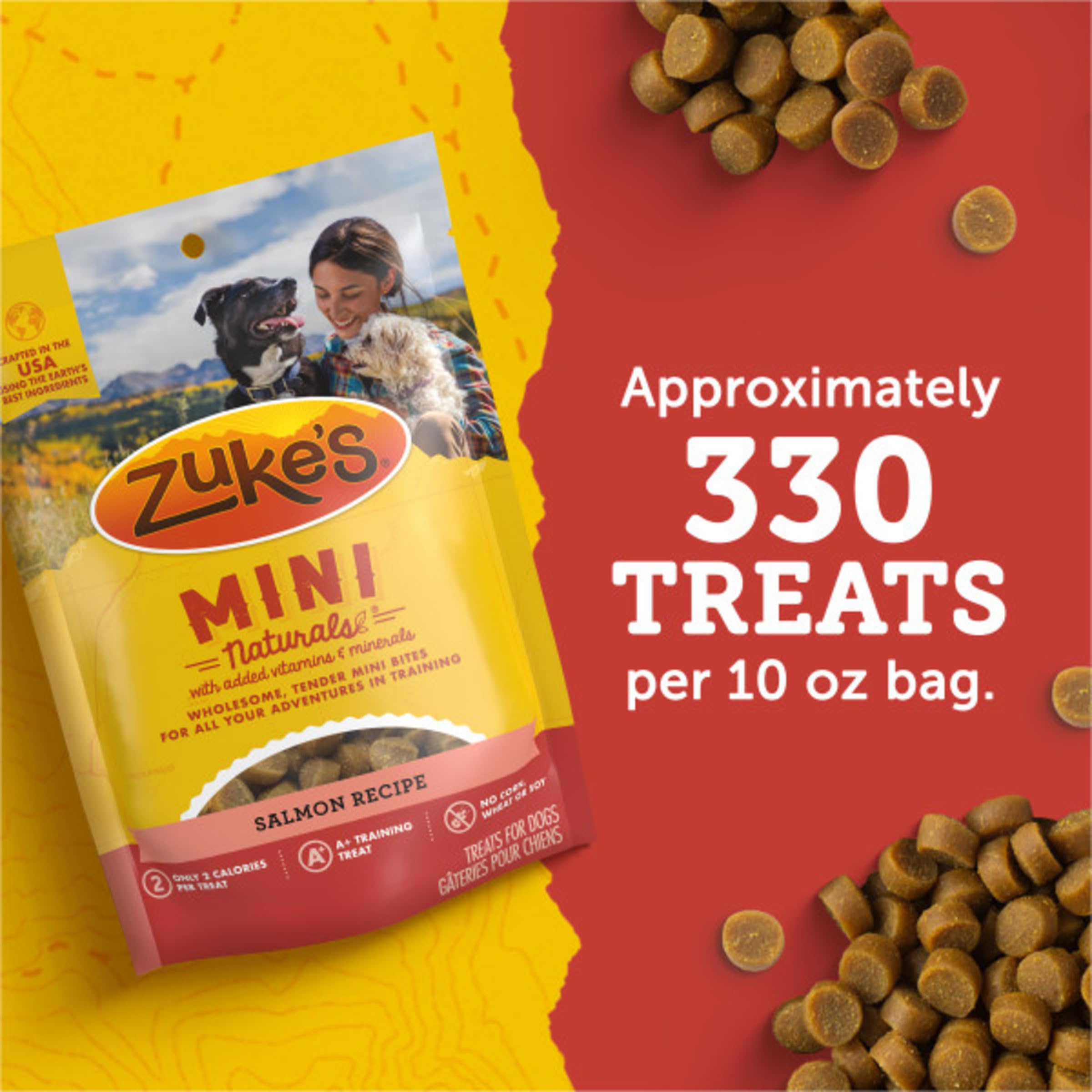 Zukes Mini Naturals Dog Training Treats for Dogs, Pet Treats made with Real Salmon, 6 oz. Resealable Pouch - 6 oz. Bag