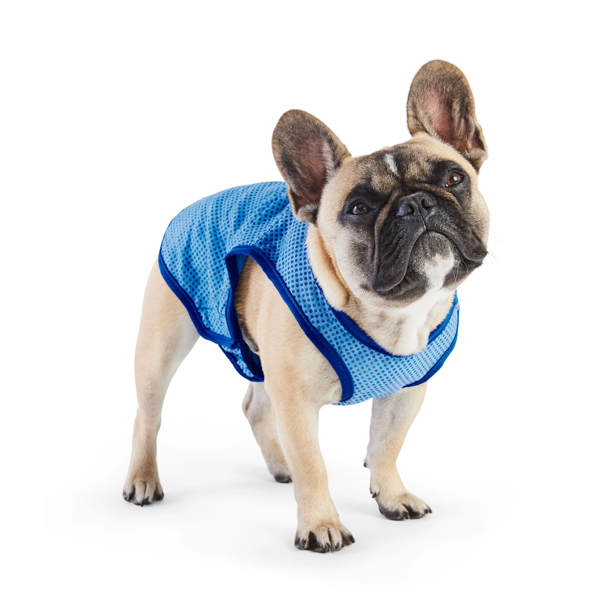 Gf Pet Blue Elasto-Fit Ice Dog Vest, X-Large