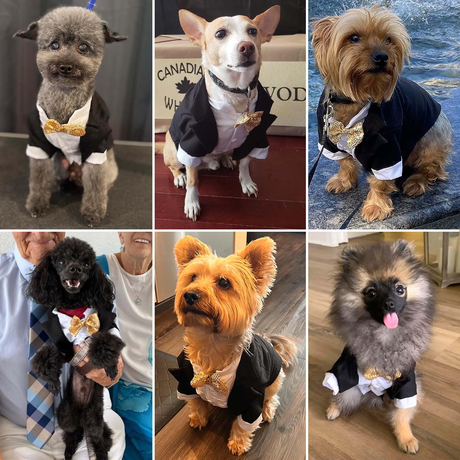 Dog Tuxedo, Formal Dog Clothes Shirt Costume Wedding Attire Party Bow Tie Suit, Dog Outfit For Small Medium Large Dogs Cats, Halloween Pet Costumes Birthday Puppy Clothing Christmas Apparel (L)
