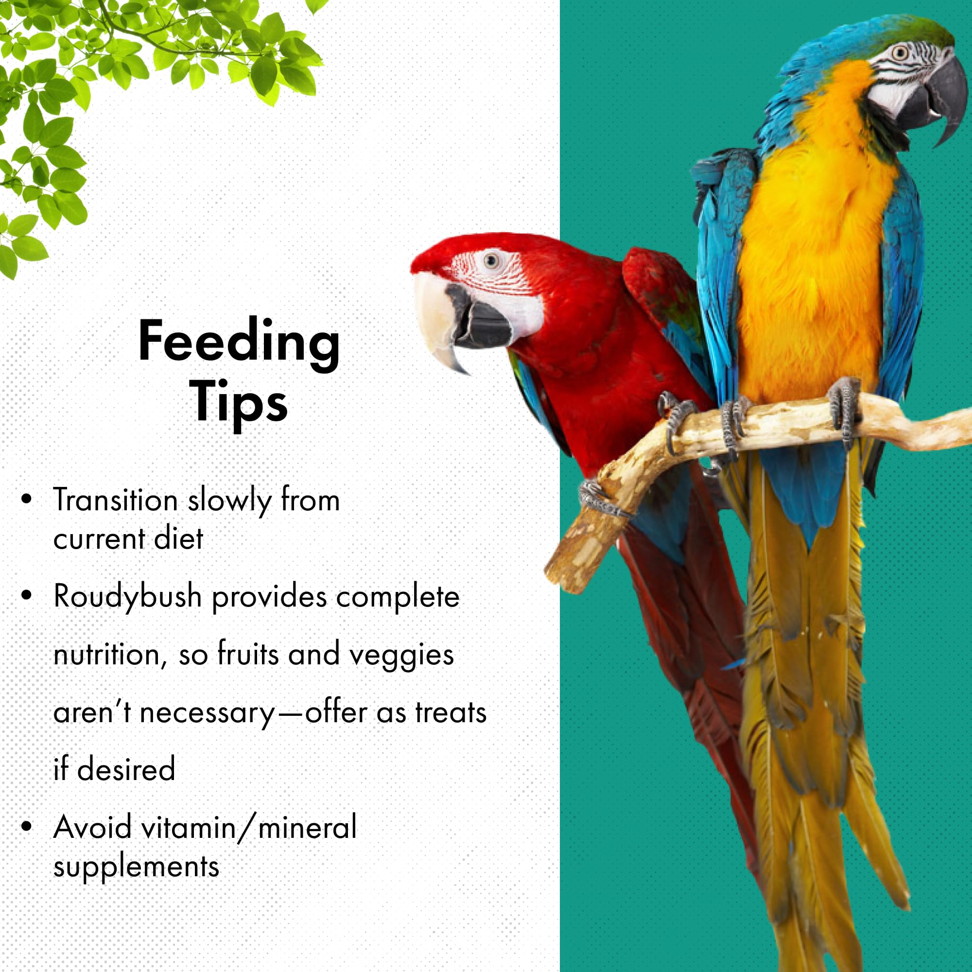 Roudybush Daily Maintenance Bird Food, Small, 10-Pound