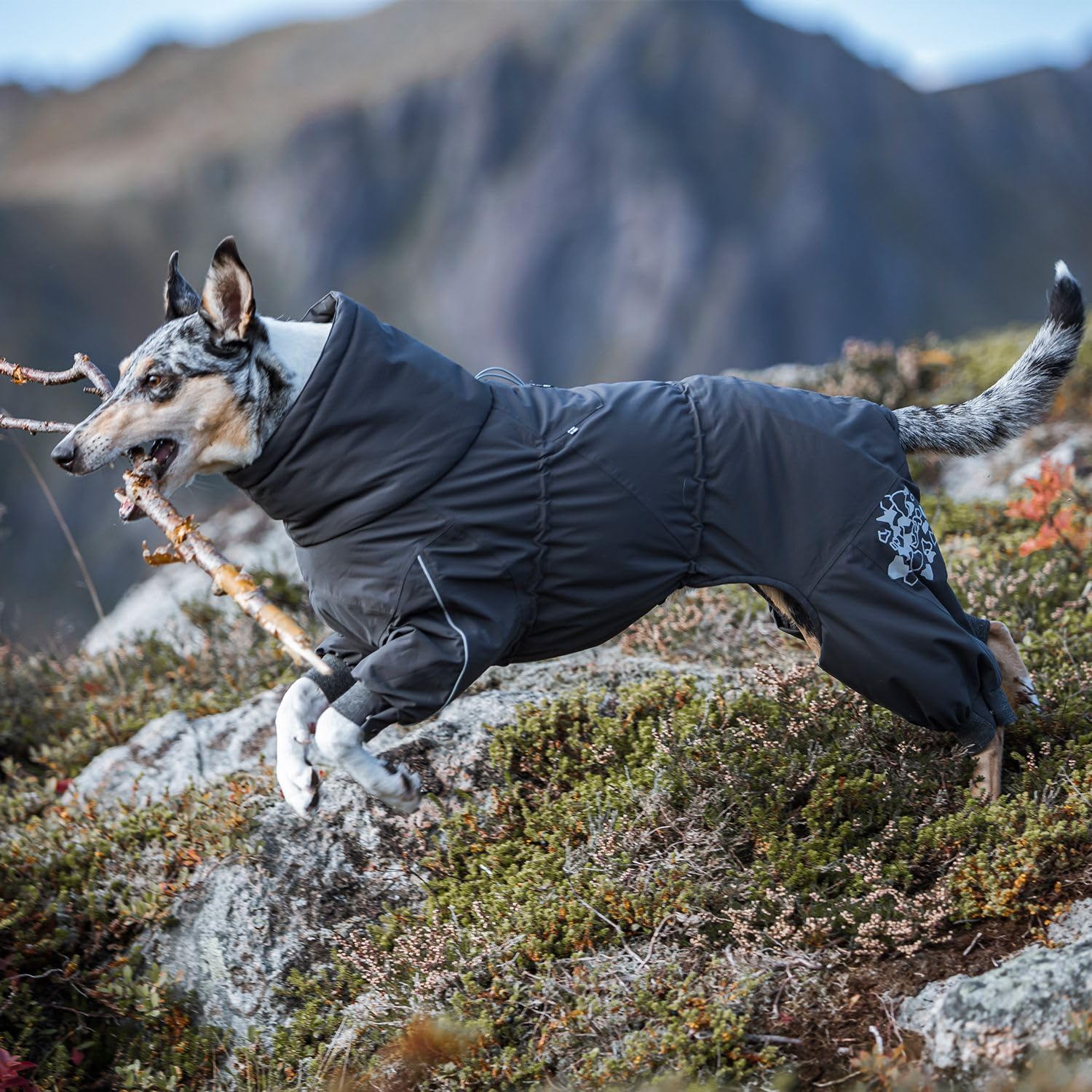 Hurtta Extreme Overall, Dog Snowsuit, Blackberry, 14S