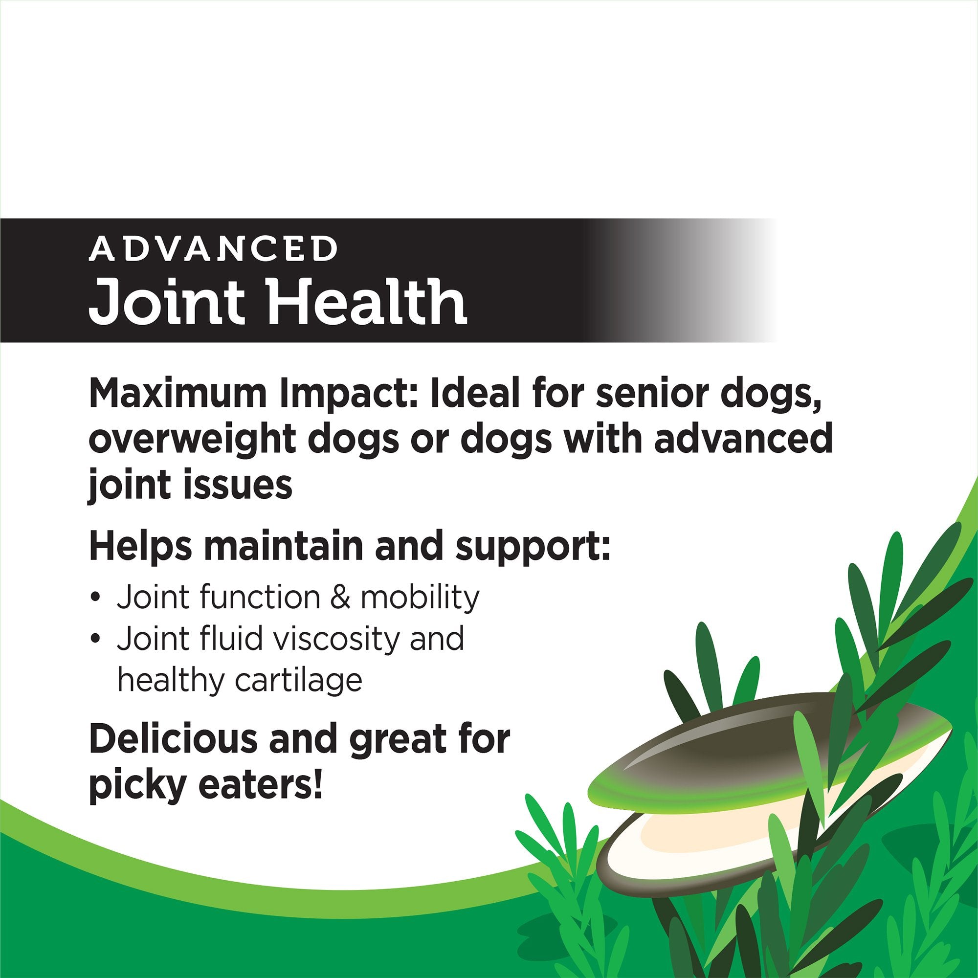 Solid Gold Hip and Joint Supplement for Dogs, 60 Count - Glucosamine, Chondroitin, Omega 3, Teal