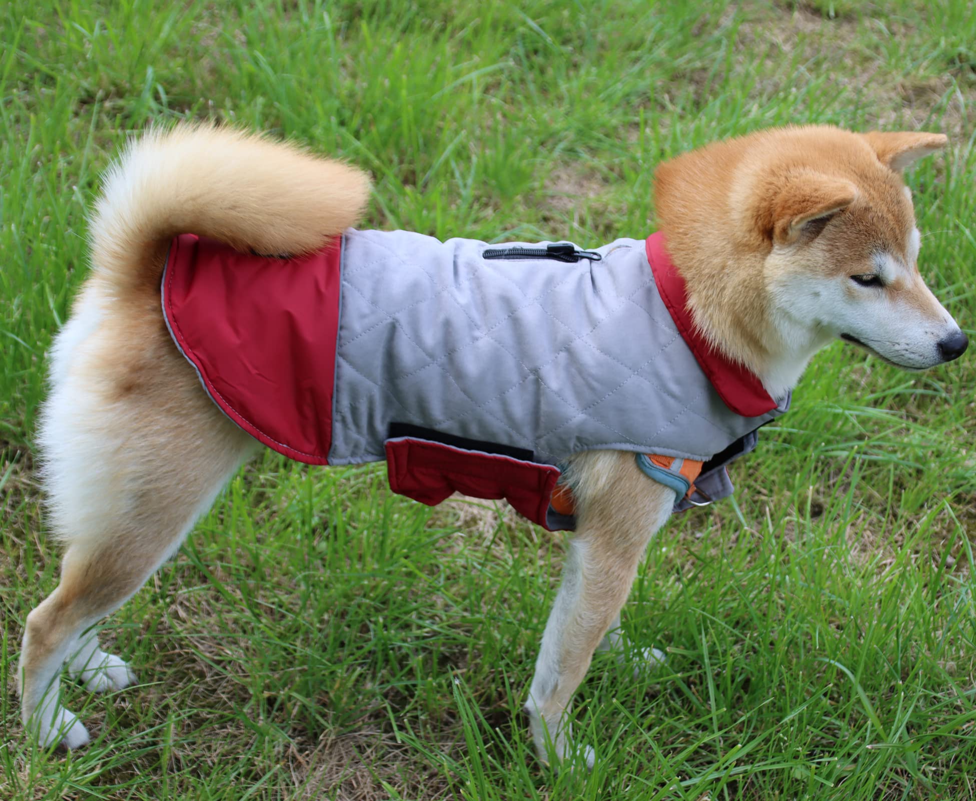 Vecomfy Reversible Dog Coats For Small Dogs Waterproof Warm Puppy Jacket For Cold Winter,Red And Grey Xs