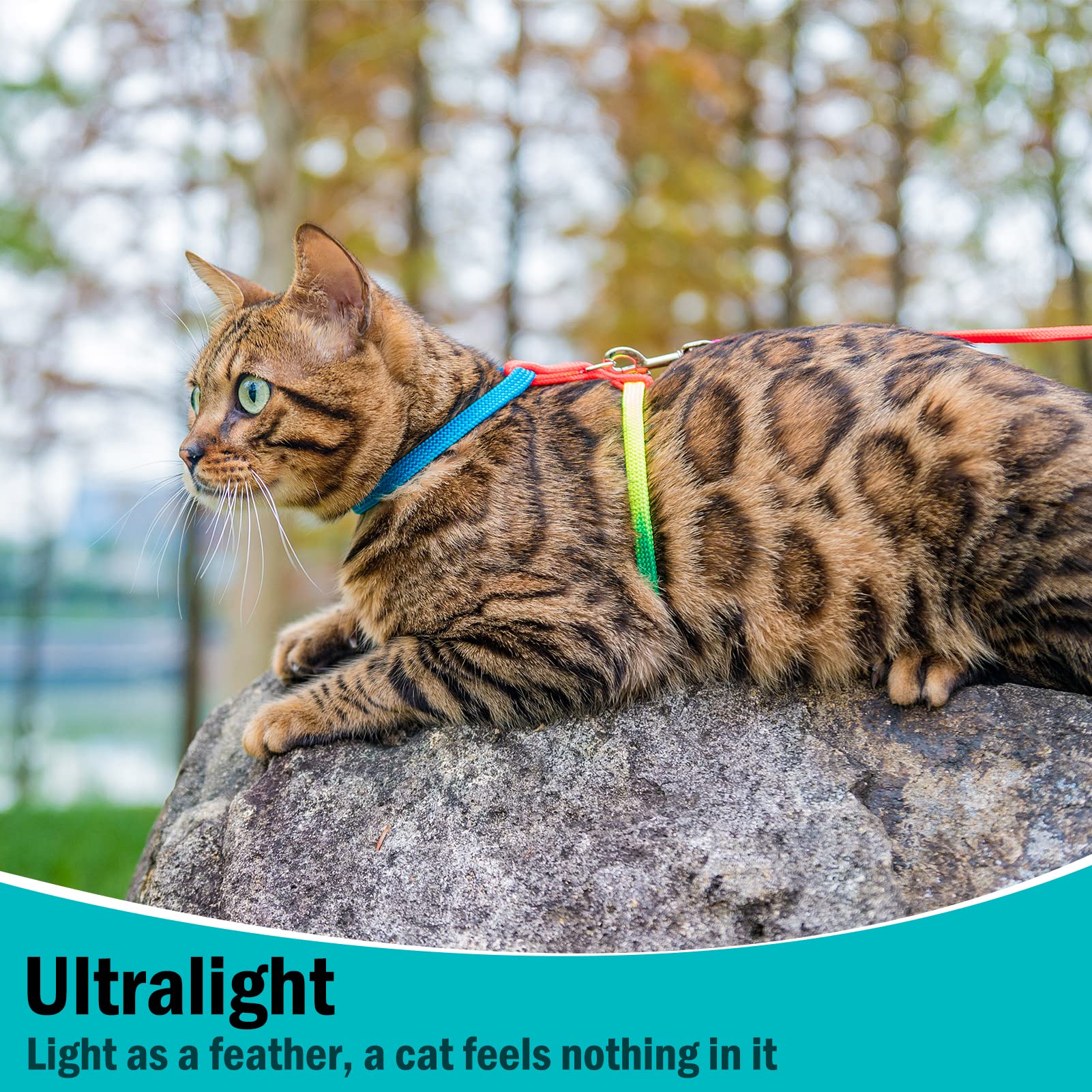 PUPTECK Adjustable Cat Harness and Leash Set Escape Proof Kitten Strap Collar for Walking Travel, Multicolor