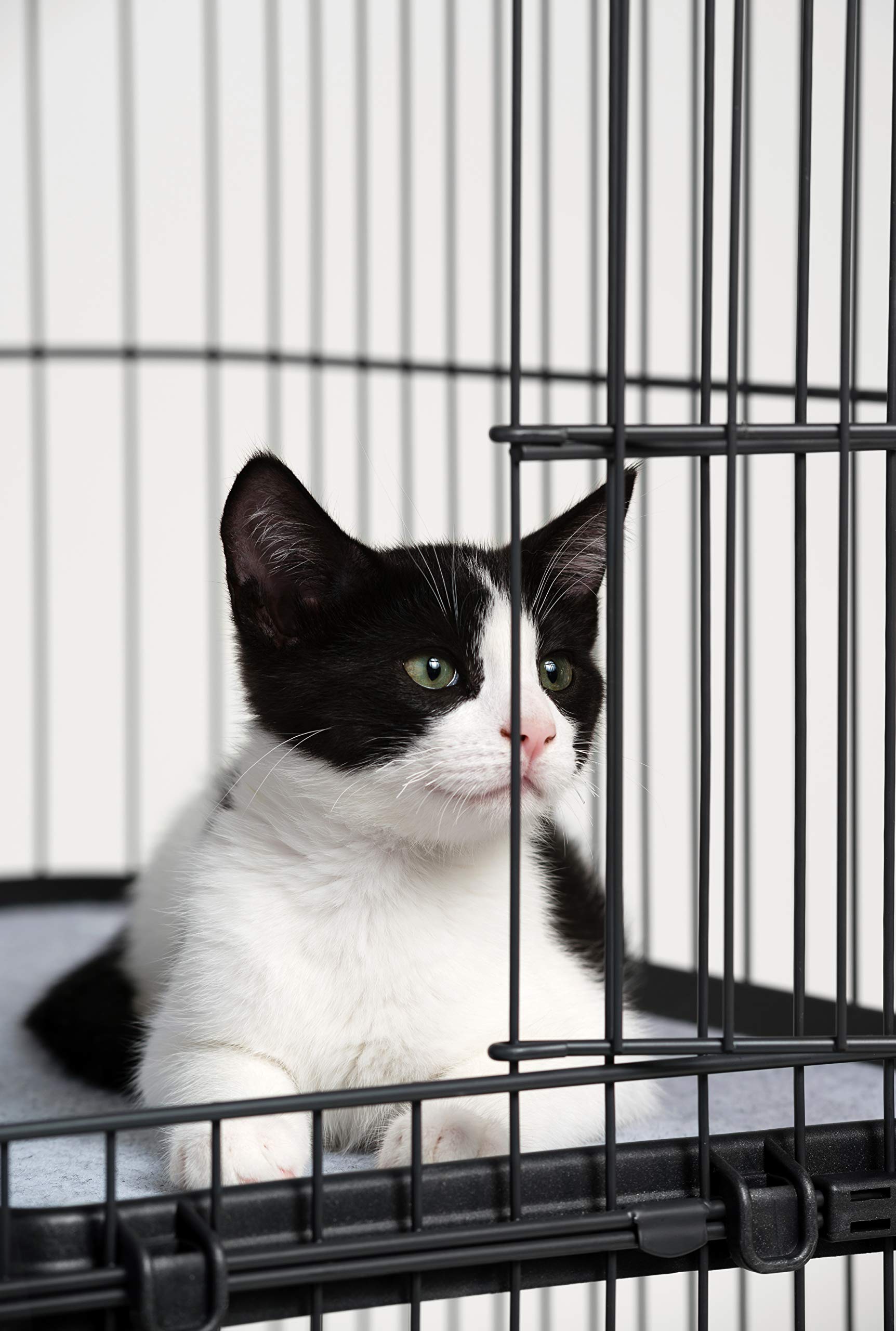 Prevue Pet Products Replacement Platform Shelf For 7500 & 7501 Cat Cages, Black (7503)
