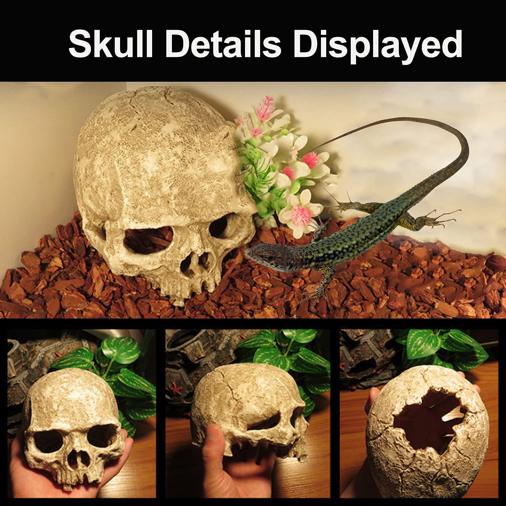 Tfwadmx Aquarium Skull Decor, Resin Fish Tank Decorations Cave Betta Fish Hiedout Reptile House For Small Fish,Shrimp