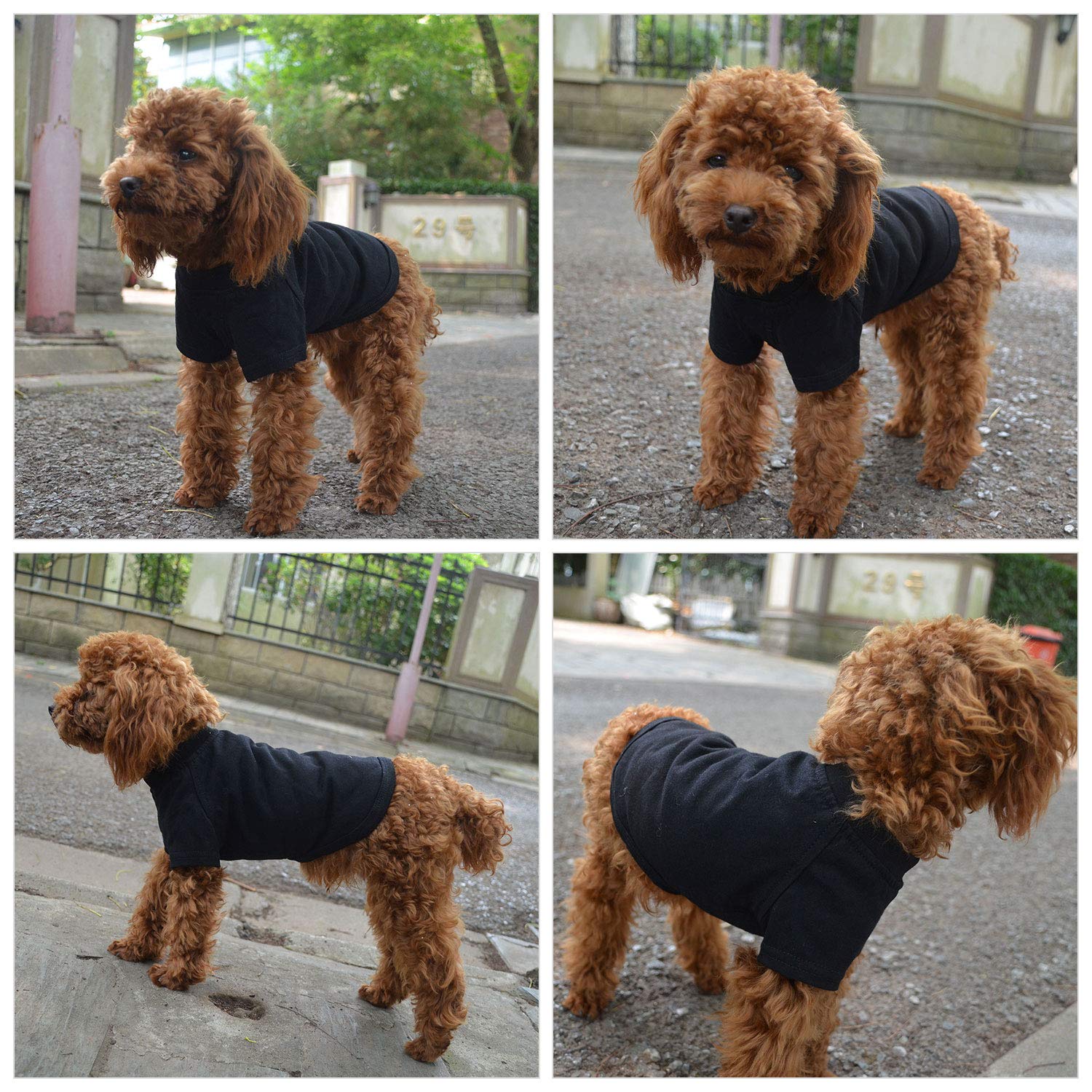 Lovelonglong Pet Clothing Dog Costumes Basic Blank T-Shirt Tee Shirts for Small Dogs Black M