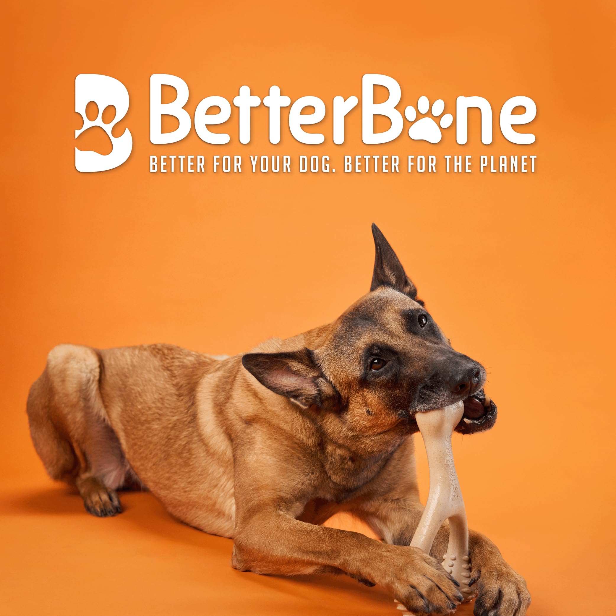 BetterBone - All-Natural, Nylon-Free Dog Chew Toys - Hard Density - Ideal for Strong to Aggressive Chewers - Non-Toxic, Promotes