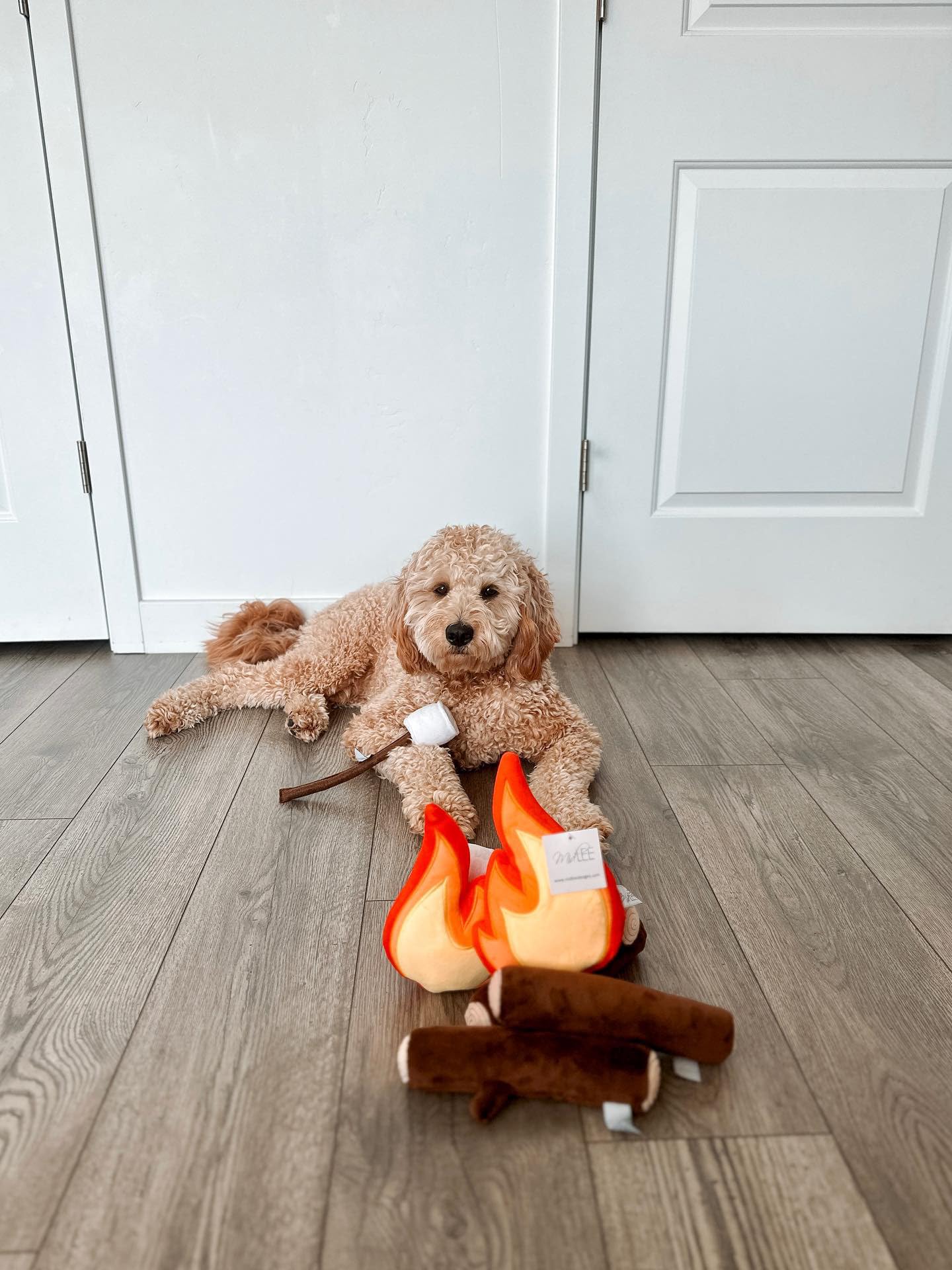 Midlee Campfire Dog Toy