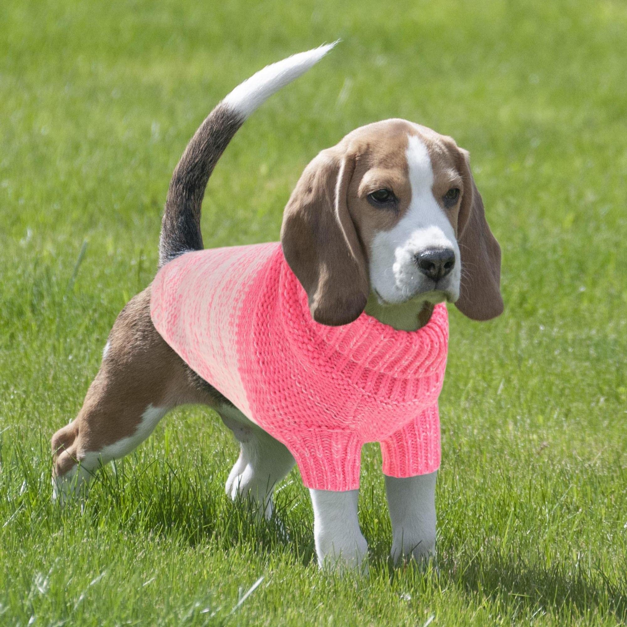 Queenmore Knitted Pullover Dog Sweater, Turtleneck Pet Cat Sweater, Cold Weather Puppy Sweater Stitching Knitwear With Leash Hole For Small Medium Dogs