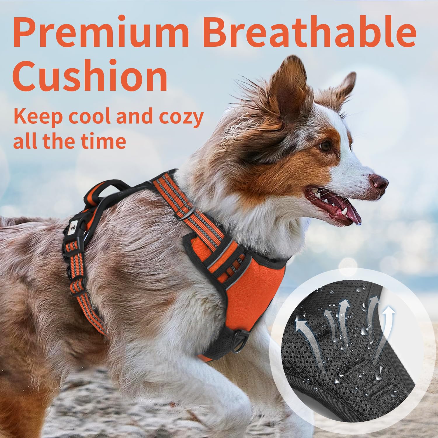 kazazoo Dog Harness, No-Pull Pet Breathable Harness, Adjustable Soft Padded Dog Vest with 2 Leash Clips, Reflective No-Choke Pet