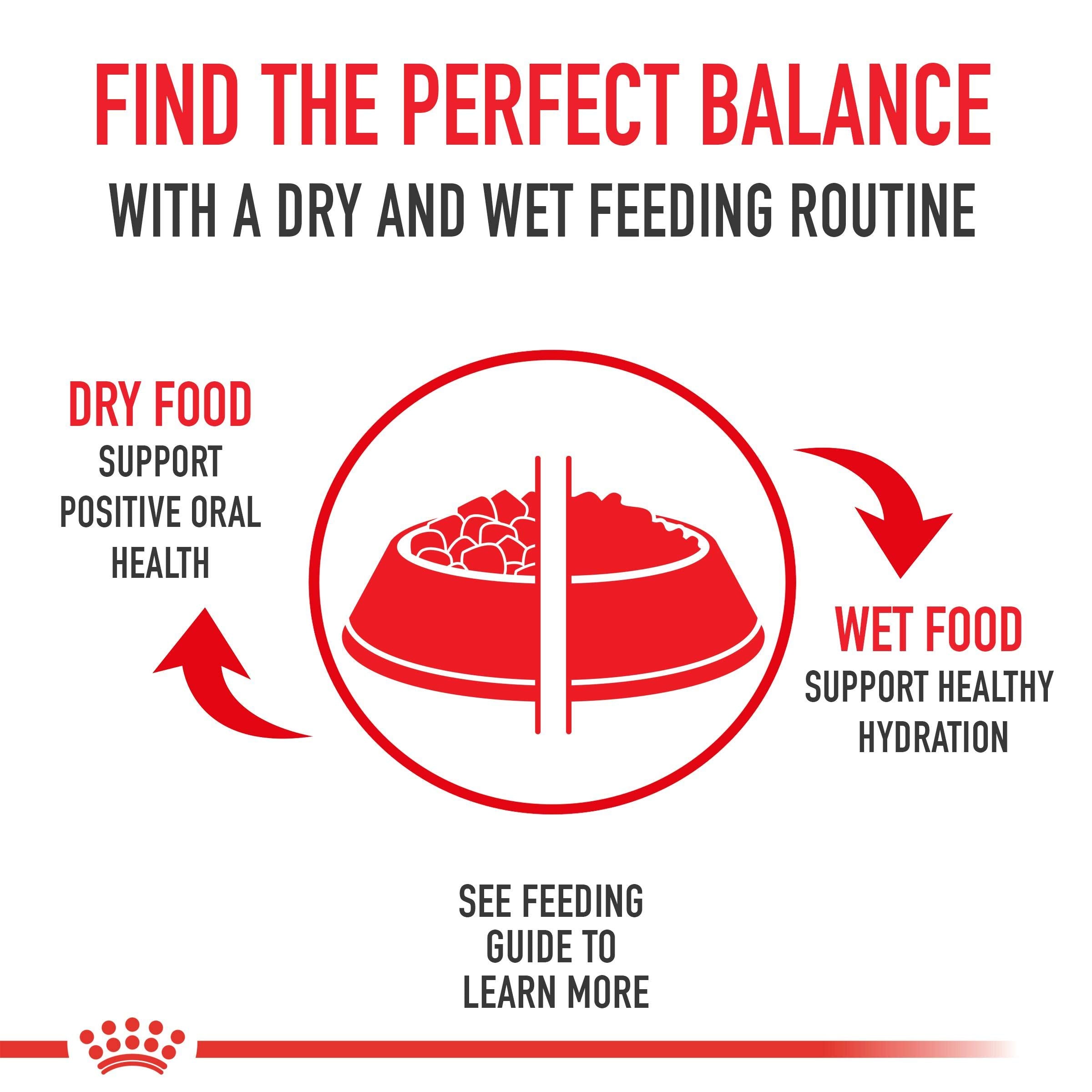Royal Canin Maltese Adult Dry Dog Food, 10 lb bag