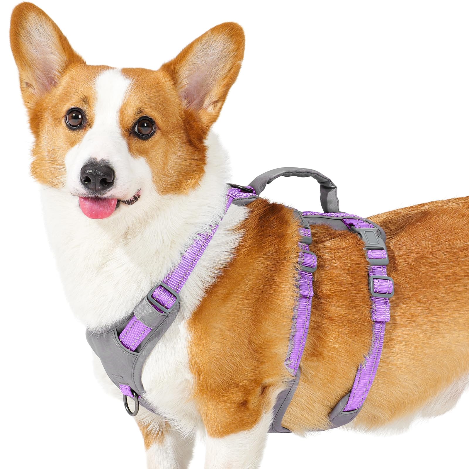 Huntboo Reflective Dog Harness With Handle, Escape Proof, No Slip, Breathable, Lightweight, Adjustable Lift Harness For Small,Me