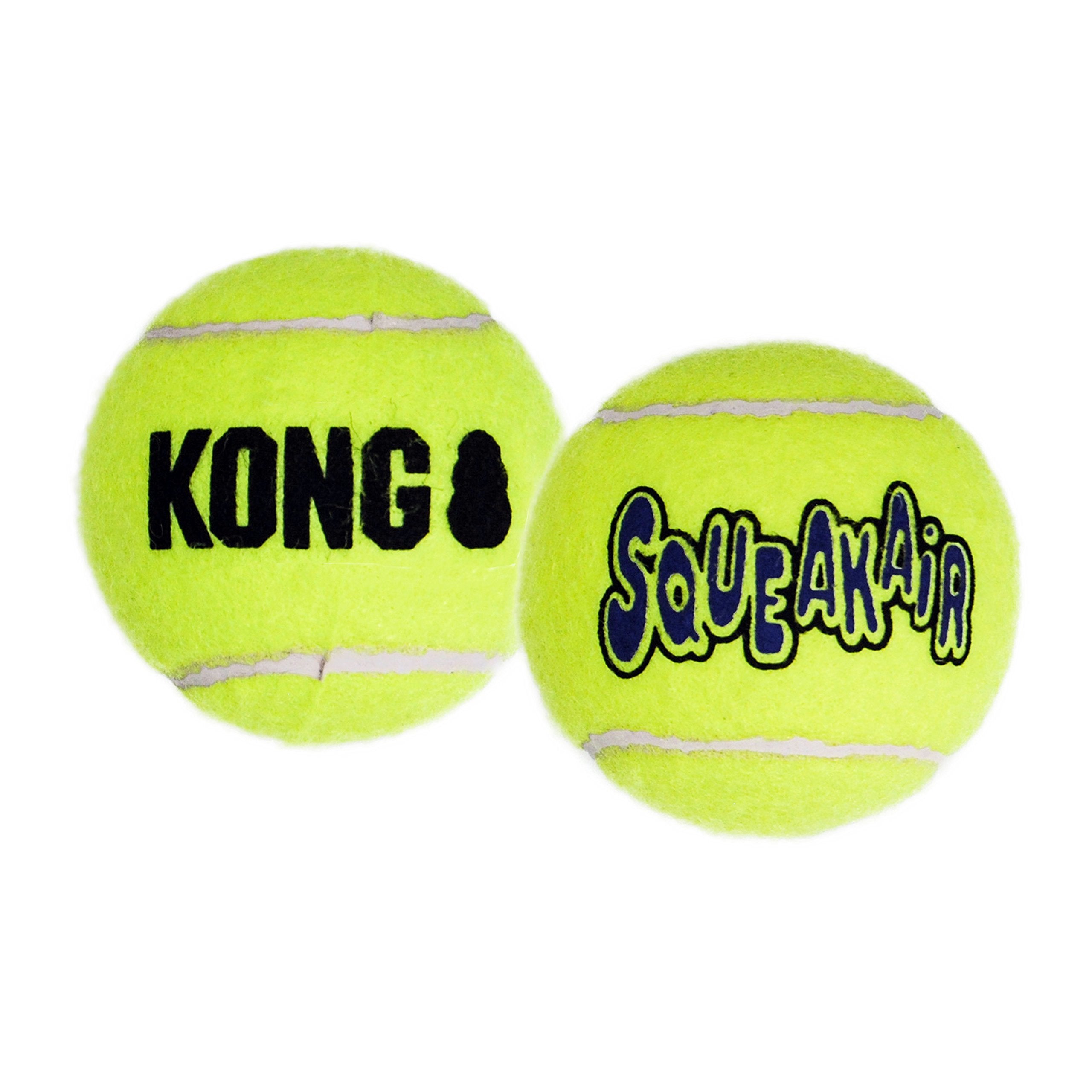 Squeakair Ball Bulk X-Large