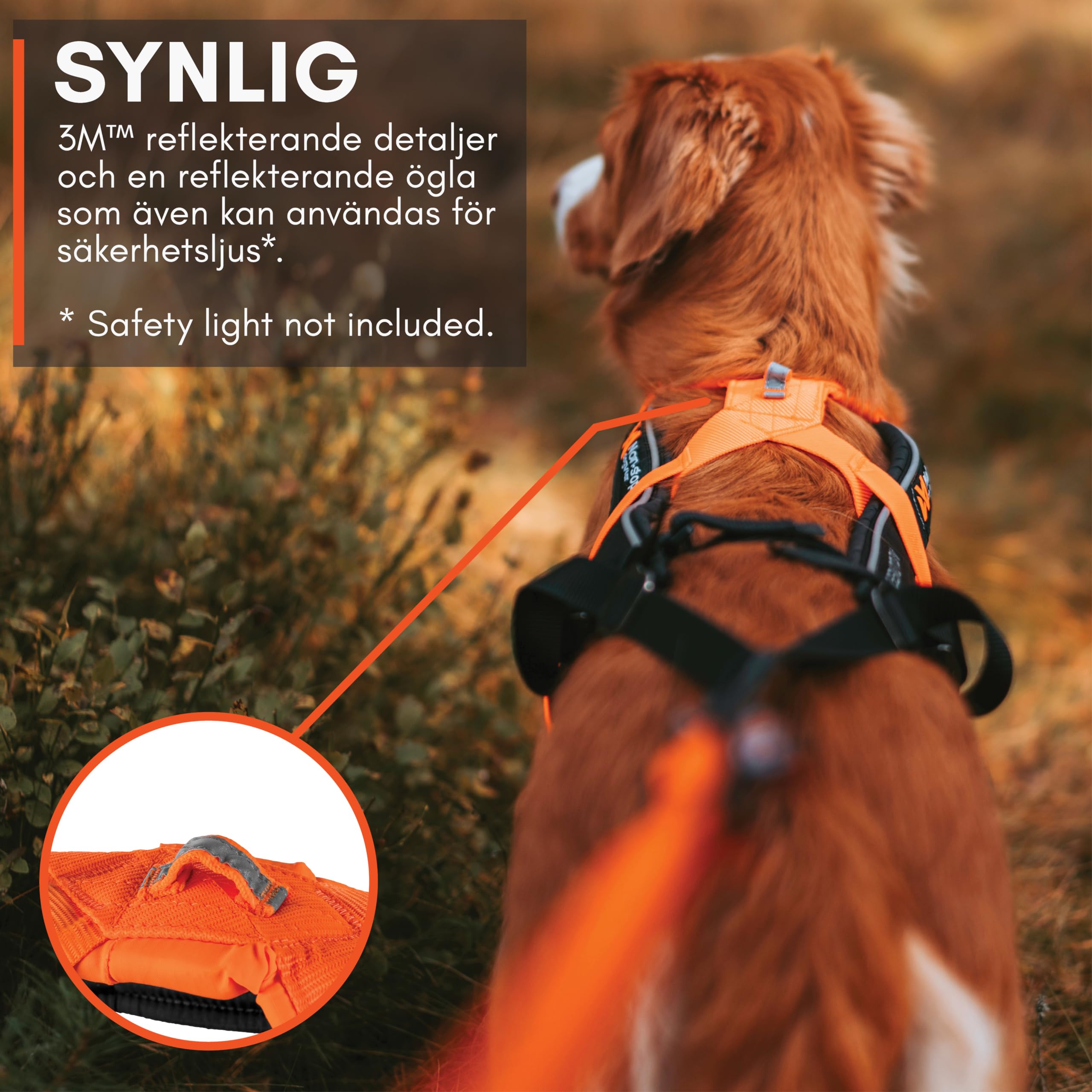 Non-Stop Dogwear Freemotion Harness 5.0 Dog Pulling Harness For Sports Like Running, Biking And Skiing With Dogs, Professional Adjustable Dog Harness, Orange/Black, Size 6
