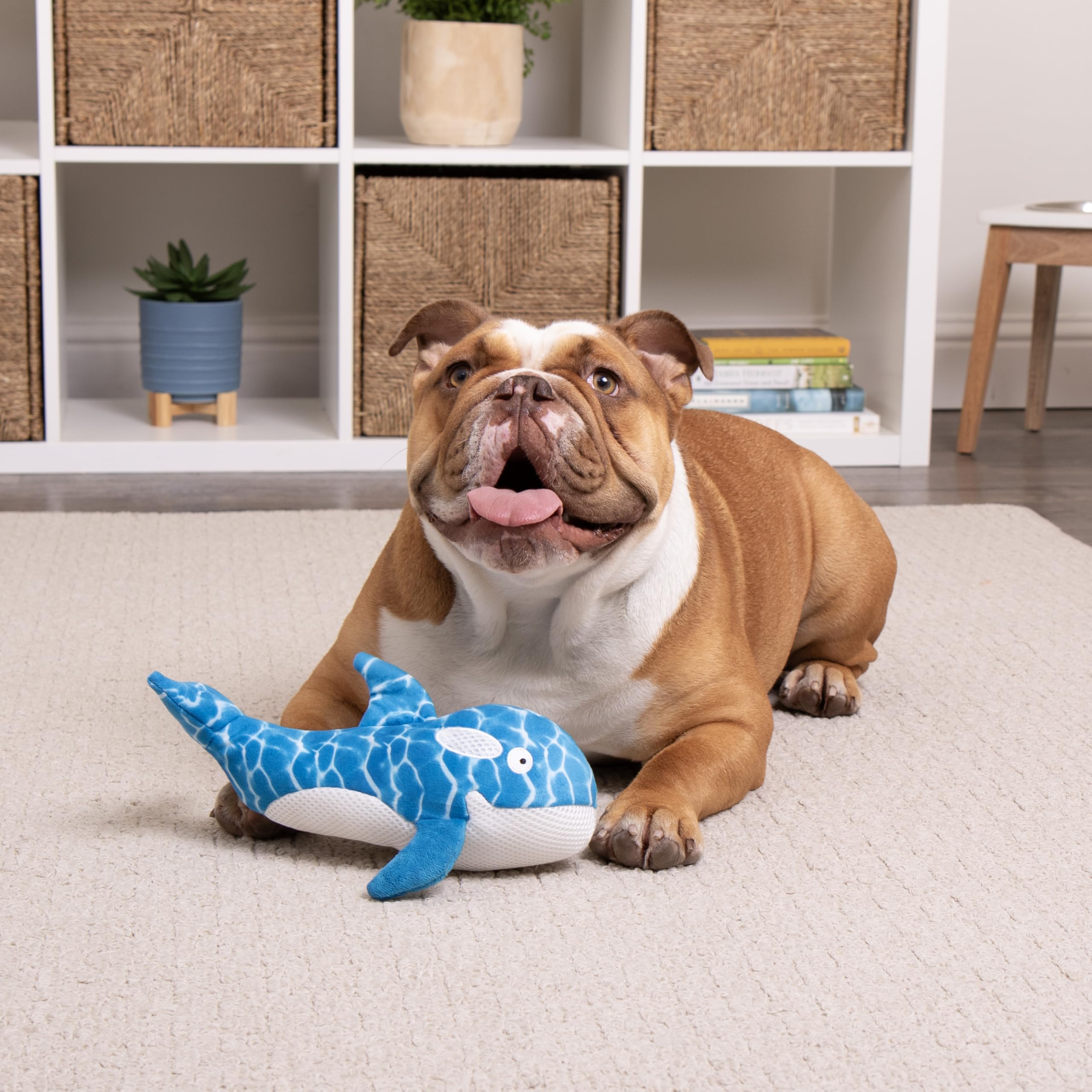 TrustyPup Orca Plush Chew Guard Dog Toy - Large, Soft Polyester, Blue, Model 70066