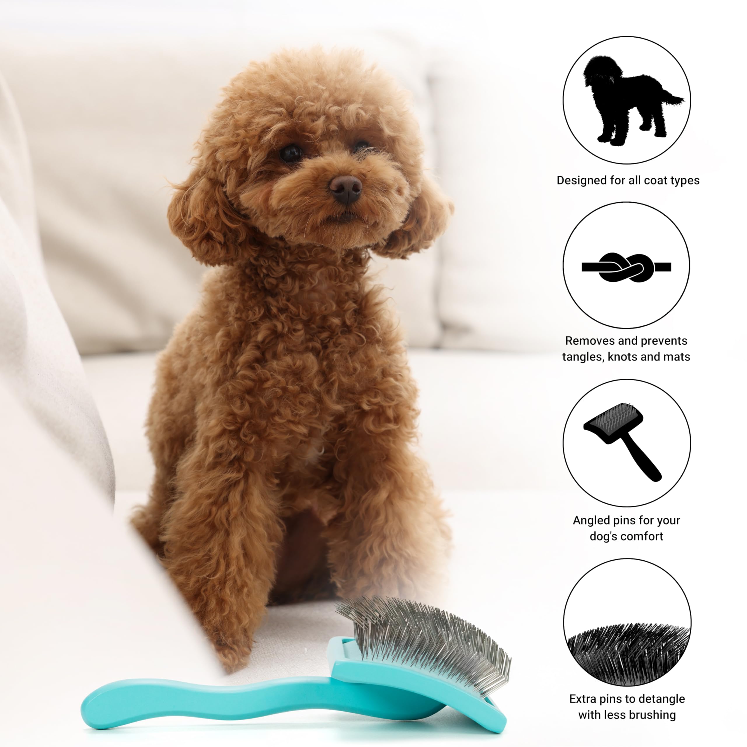 Chris Christensen Slicker Brush for Dogs, Large Teal, Rubber, Ideal for Goldendoodles, Labradoodles, Poodles, Professional Grooming Tool