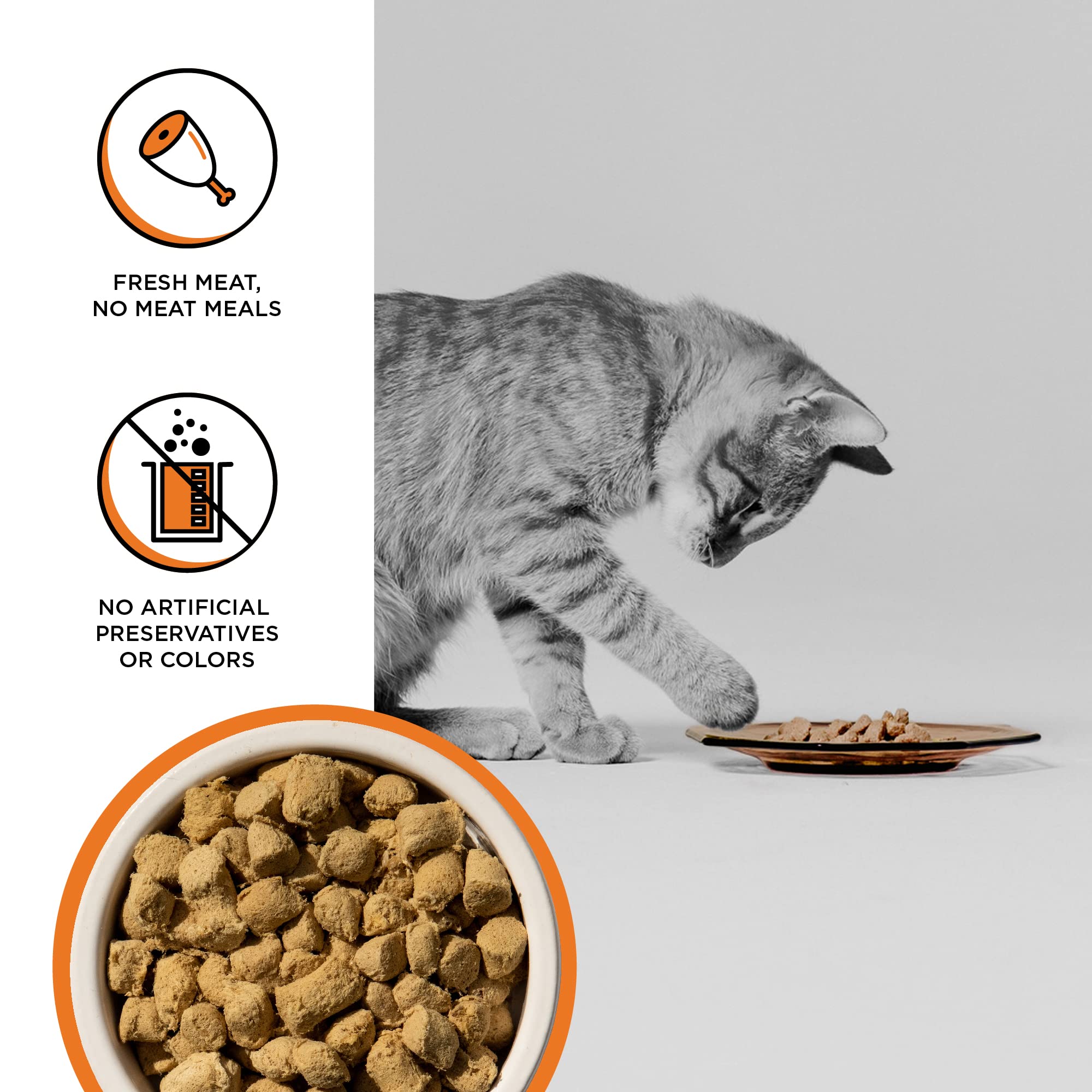 BIXBI Rawbble Freeze Dried Cat Food, Chicken Recipe, 3.5 oz - 95% Organs and Bone Raw Cat Food - USA Made