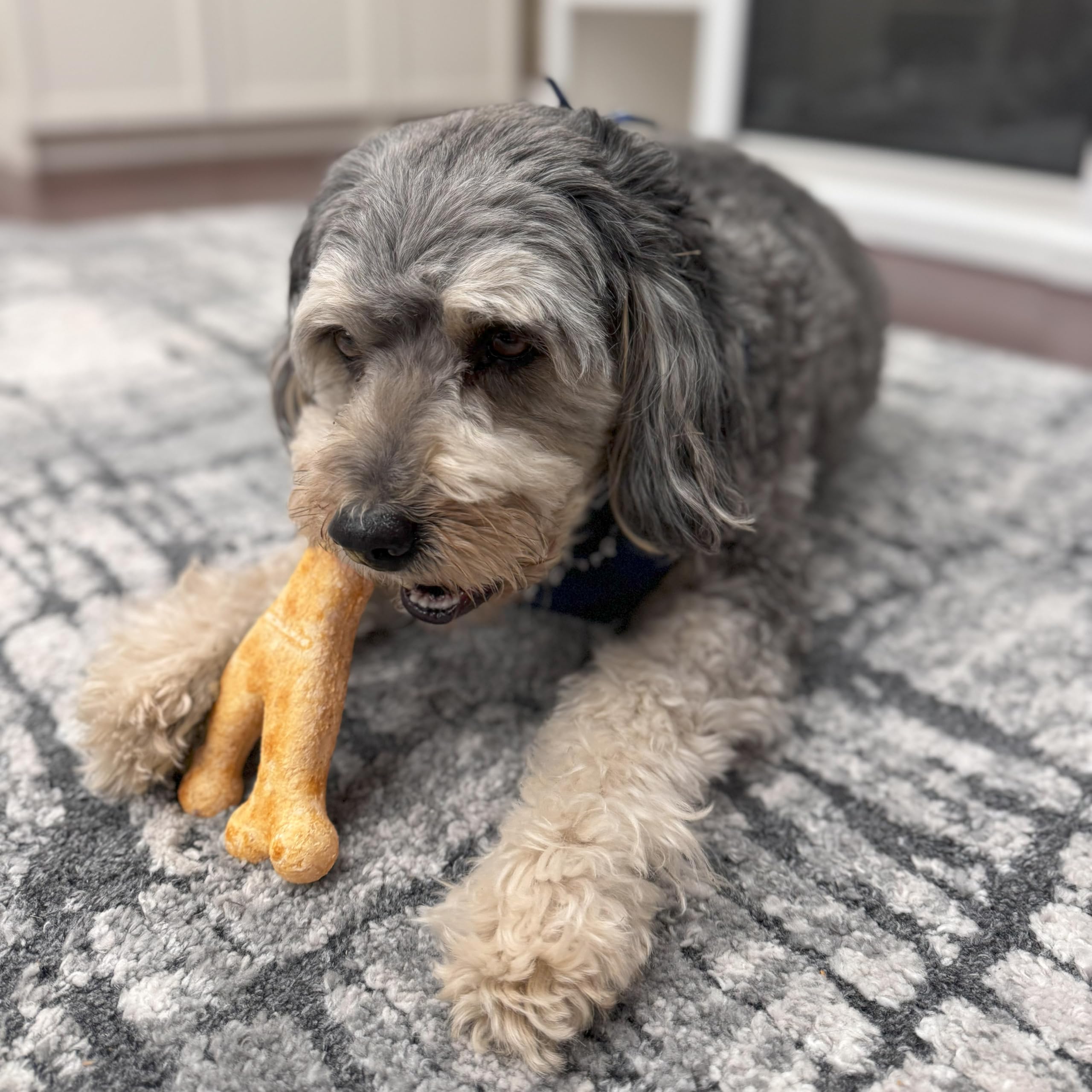 Fieldcrest Farms Nothin to Hide Collagen-Based Dog Chews, Wishbone, Beef Flavor, Ultra-Premium, for Dogs Over 50lbs, Easily Dig