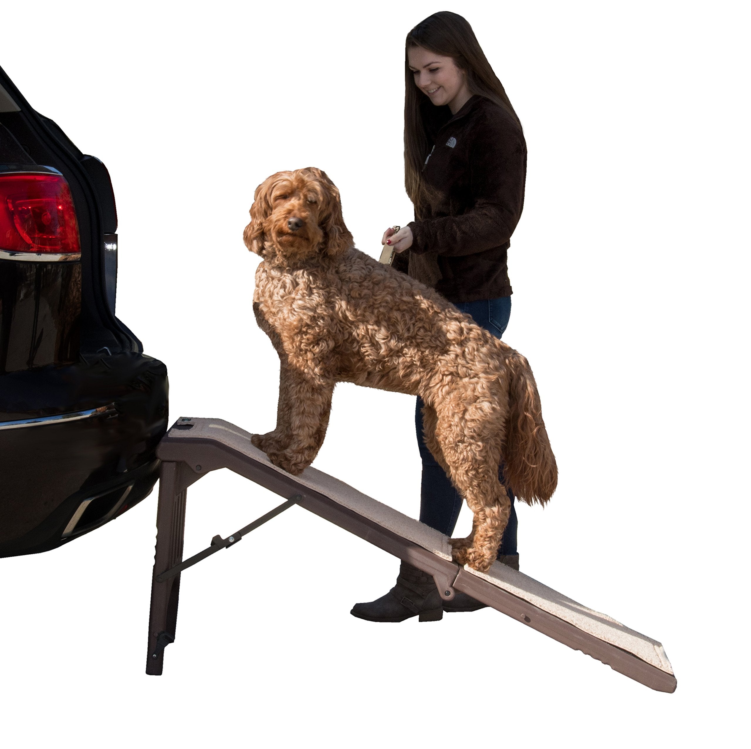 Pet Gear Free Standing Pet Ramp for Cats and Dogs, No Assembly Required, Easy Fold for Storage or Travel, Portable, Espresso