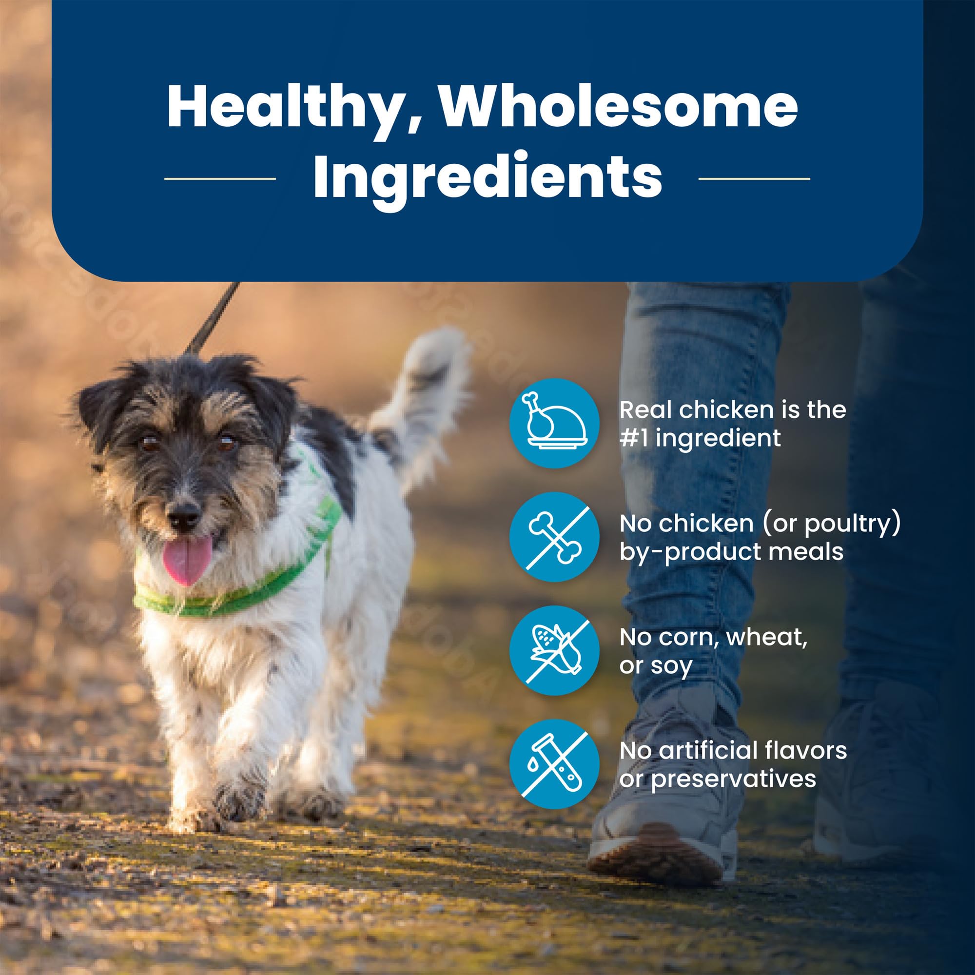 Blue Buffalo Life Protection Formula Adult Small Bite Dry Dog Food, Helps Build and Maintain Strong Muscles, Made with Natural I
