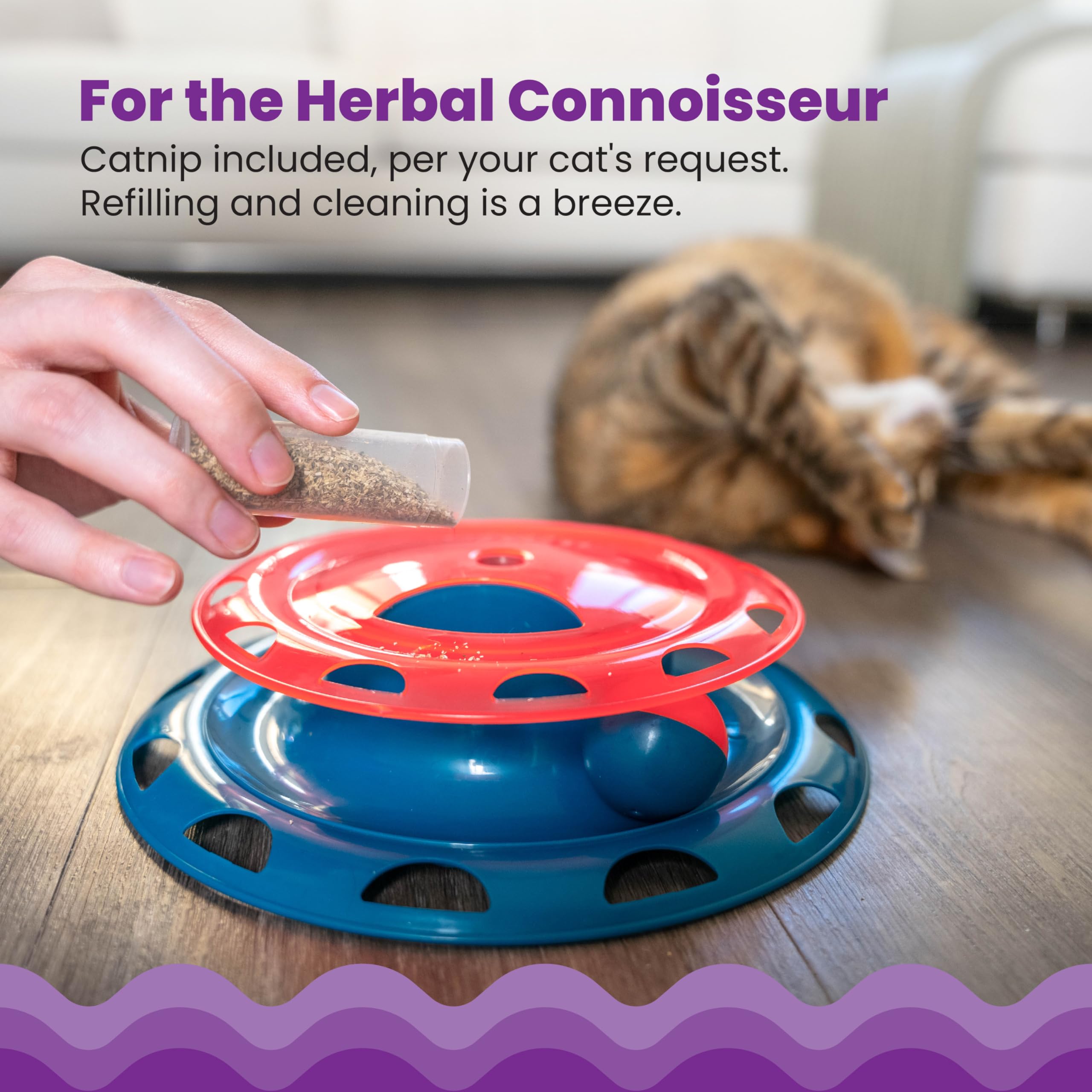 Catstages Catnip Chase Track Red And Blue Interactive Cat Toy, All Breed Sizes