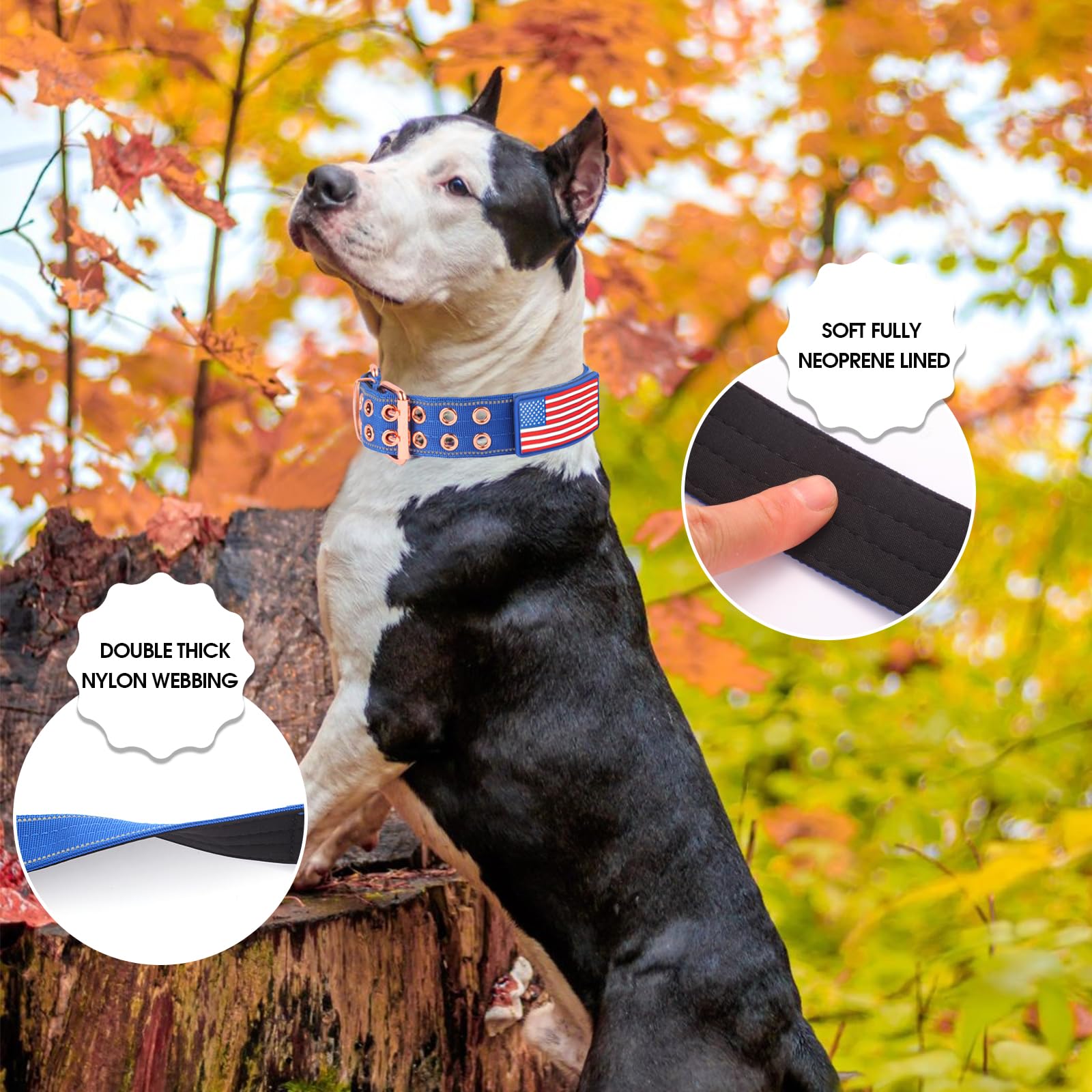 Yunleparks Heavy Duty Tactical Dog Collar With Neoprene Padded And Metal Buckle, Reflective Nylon For Medium To Large Dogs(Blue,
