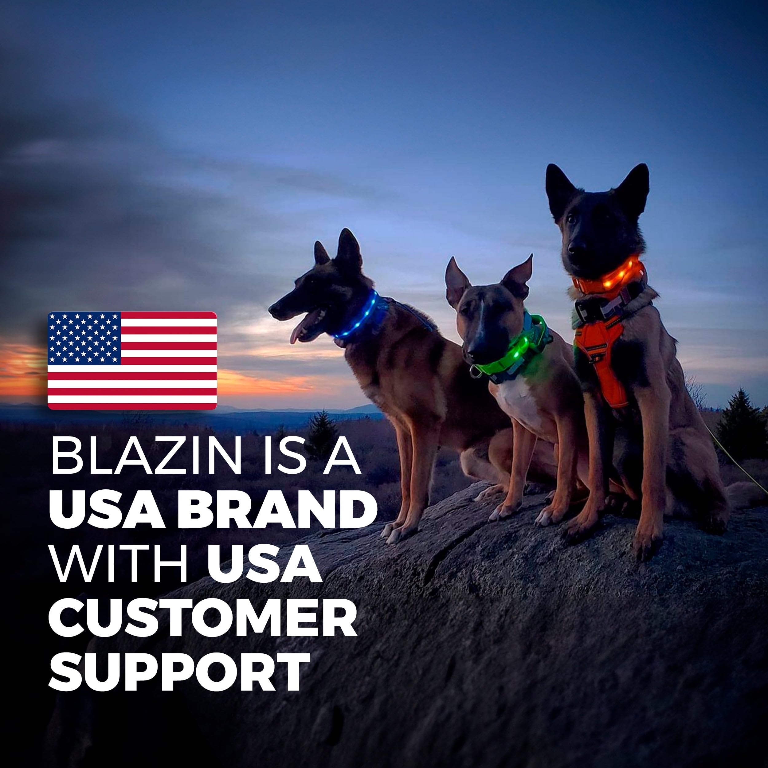 Blazin Light Up Dog Collar - The Original Led Dog Collar - Usb Rechargeable - Waterproof - 1,000 Feet Of Visibility - Dog Collar