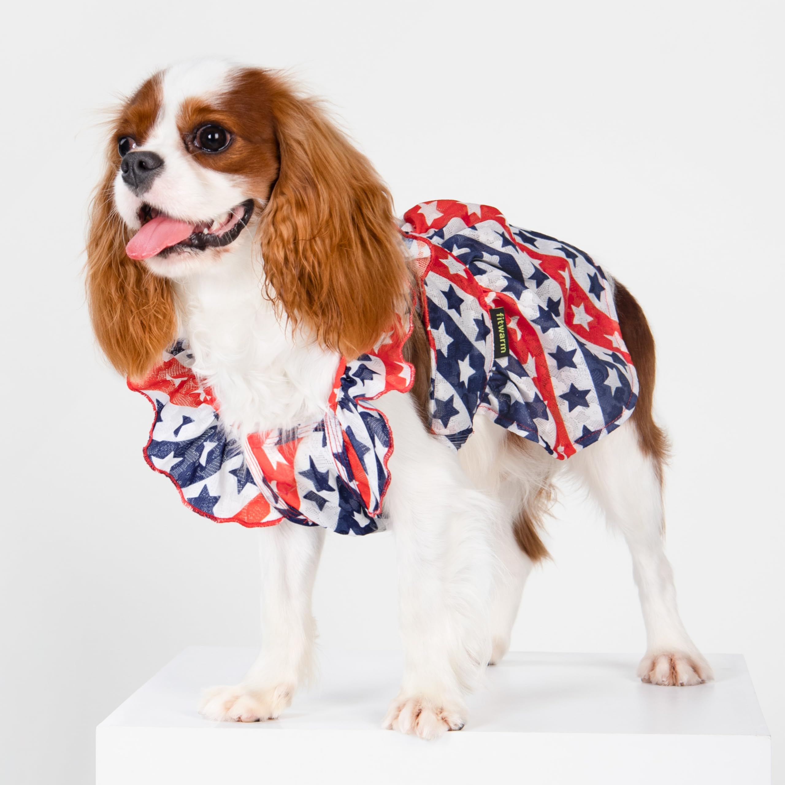 Fitwarm 4th of July Dog Dress, Patriotic Stars Dog Clothes for Small Dogs Girl, Ruffled Dog Princess Dress, Pet Outfit, Red, Blu
