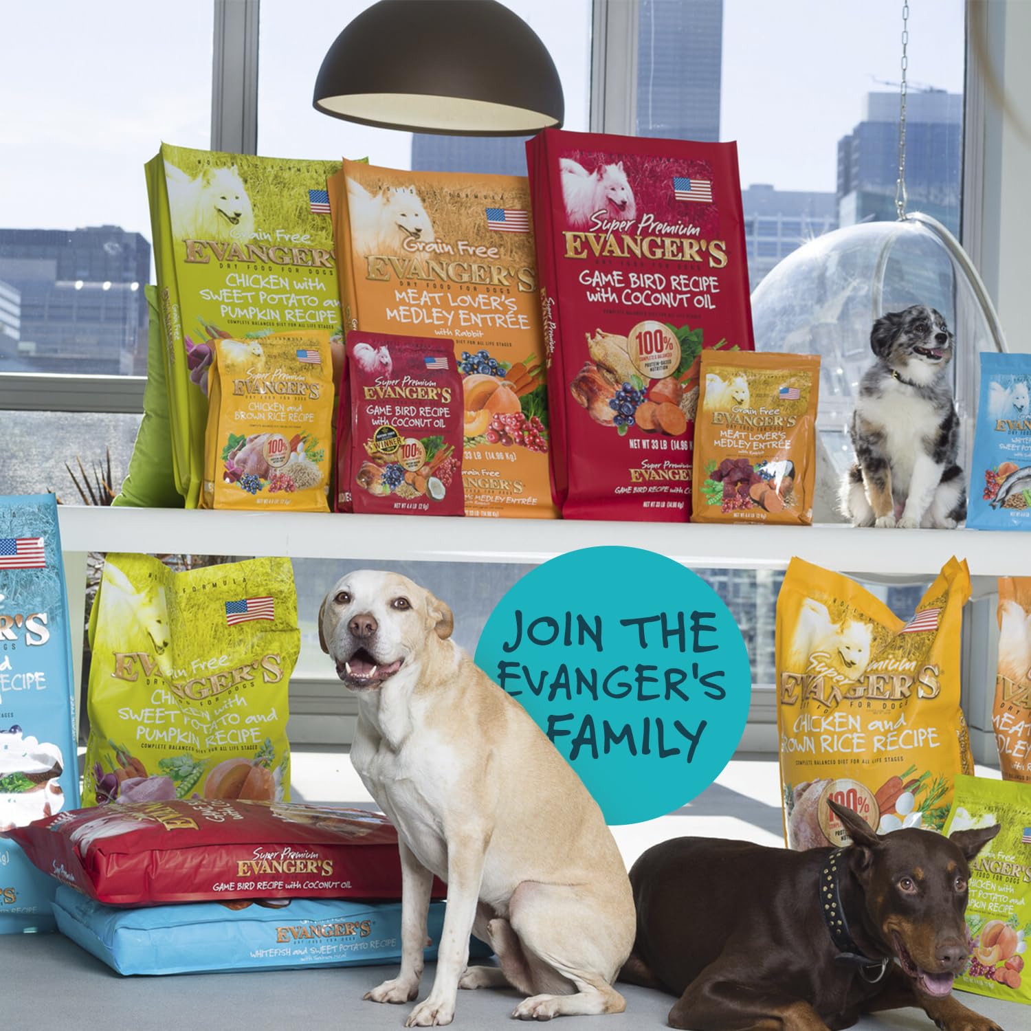 Evangers Grain-Free Whitefish & Sweet Potato with Venison Dry Dog Food