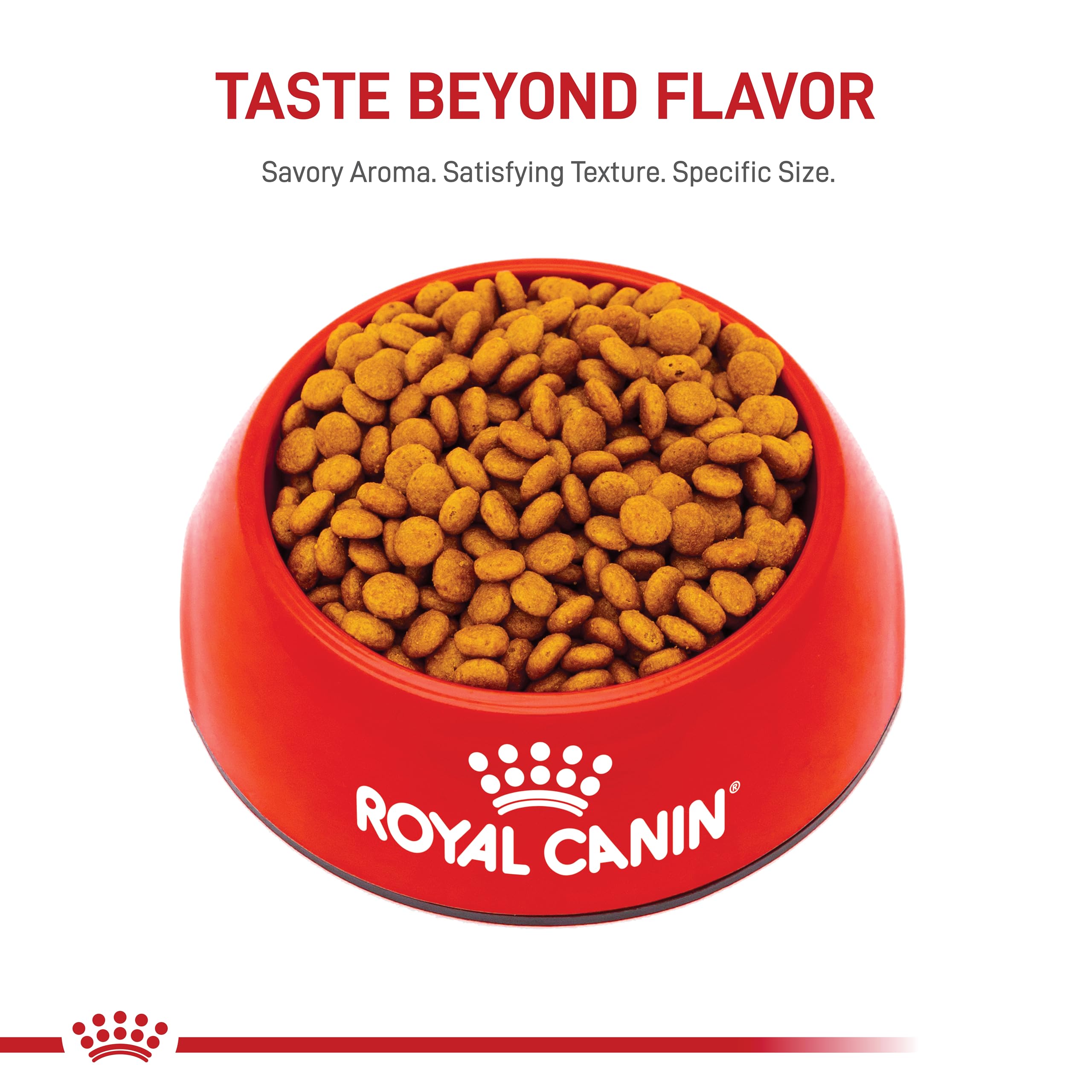 Royal Canin X-Small Adult Dry Dog Food, 2.5 lb bag