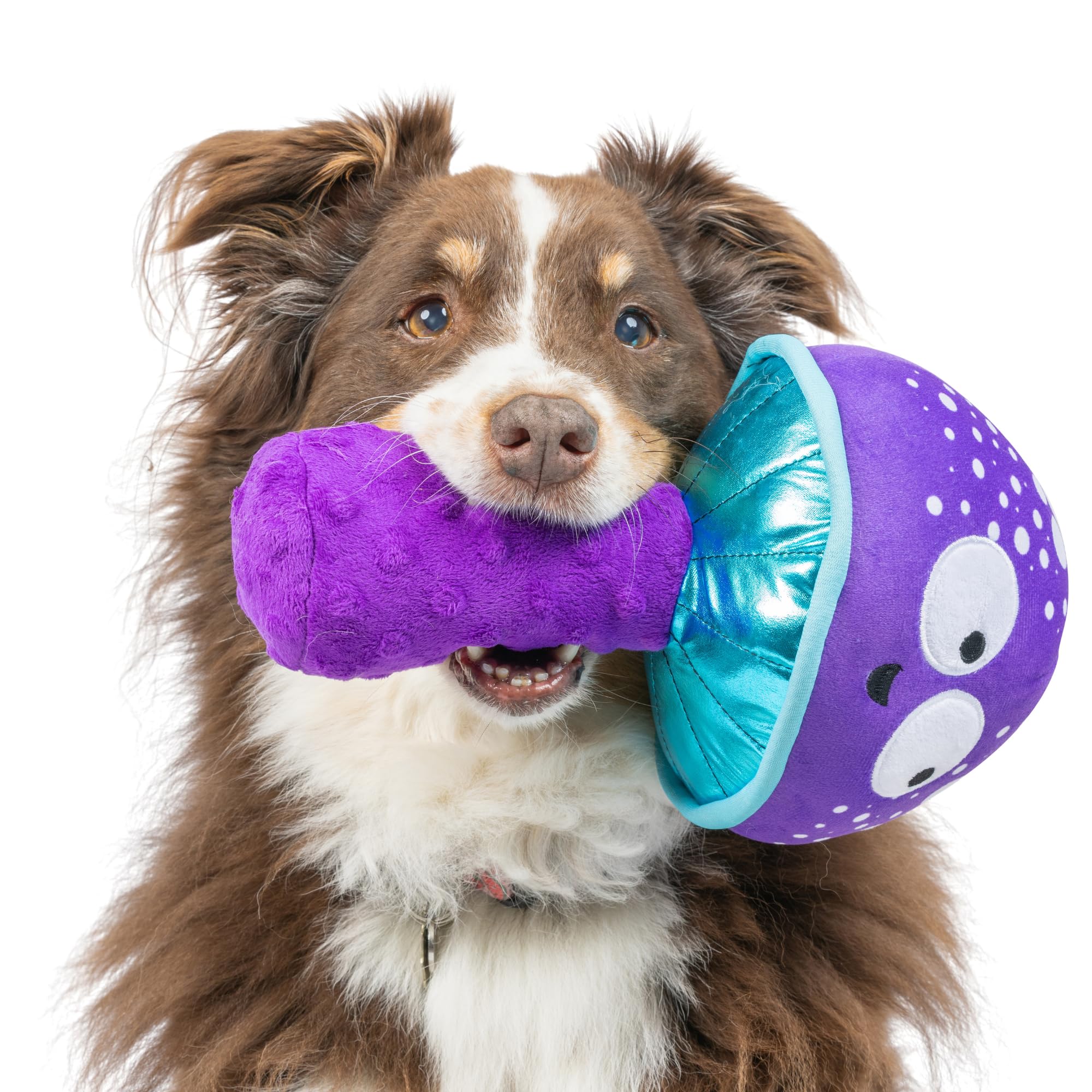 Huxley & Kent For Dogs | Mellow Mushroom (Small) | Funny Dog Toy | Power Plush Dog Toy With Squeaker | Dog Gift | Fun, Durable |