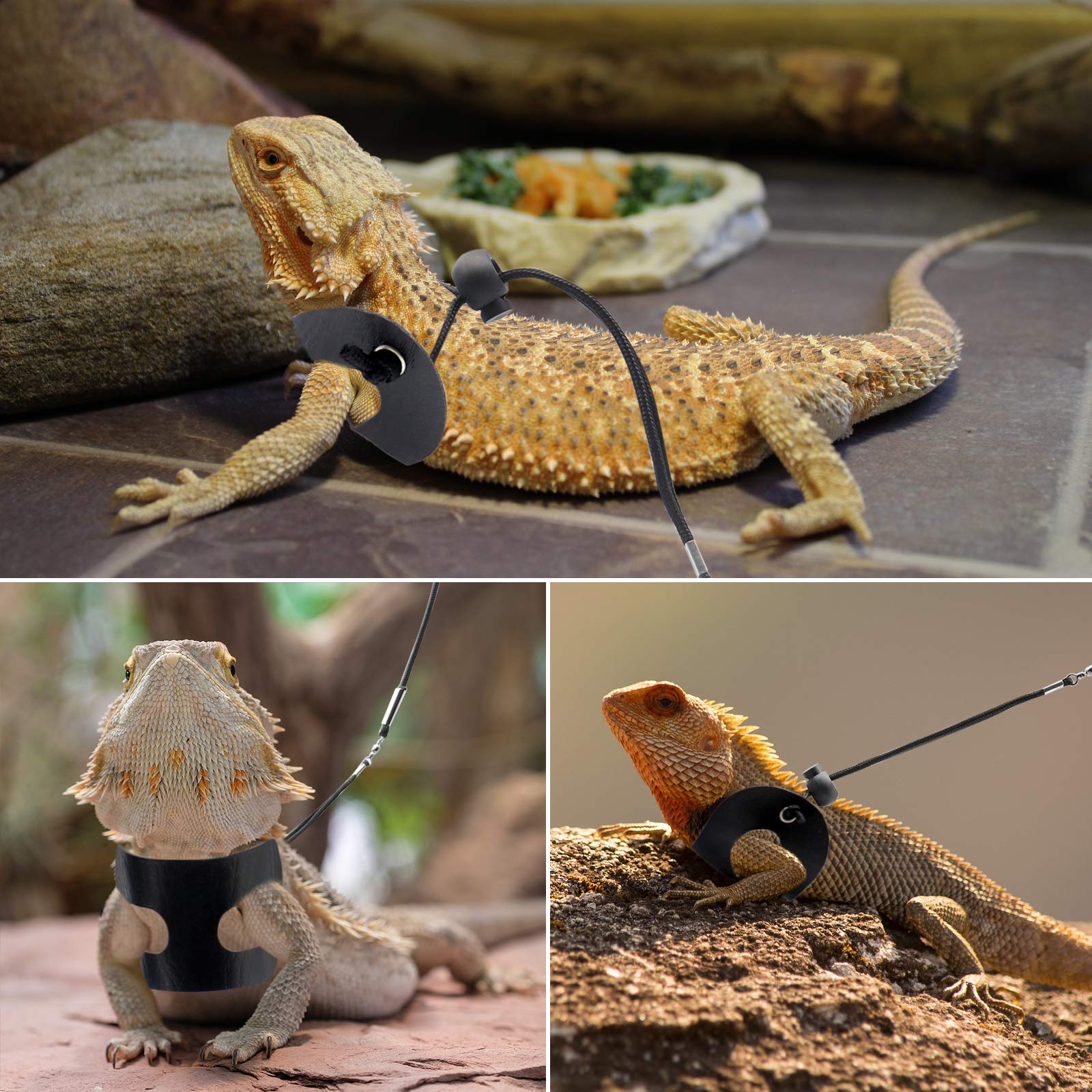 BWOGUE Bearded Dragon Harness and Leash Adjustable Leather Lizard Reptiles Harness Leash for Amphibians and Other Small Pet Anim