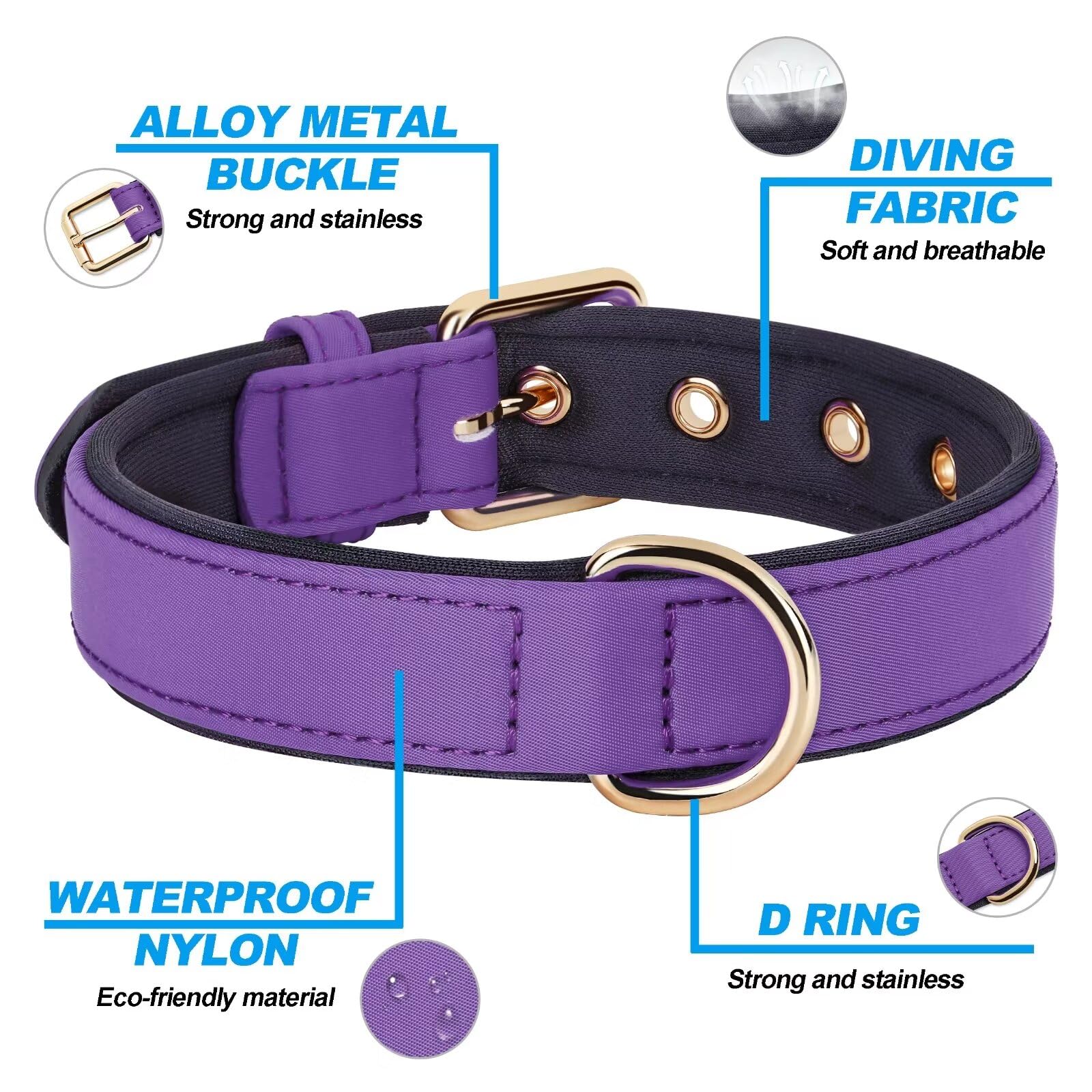 Didog Soft Padded Dog Collars For Small Dogs, Lightweight And Breathable Dog Collar Waterproof With Metal Buckle For Puppy, Purp