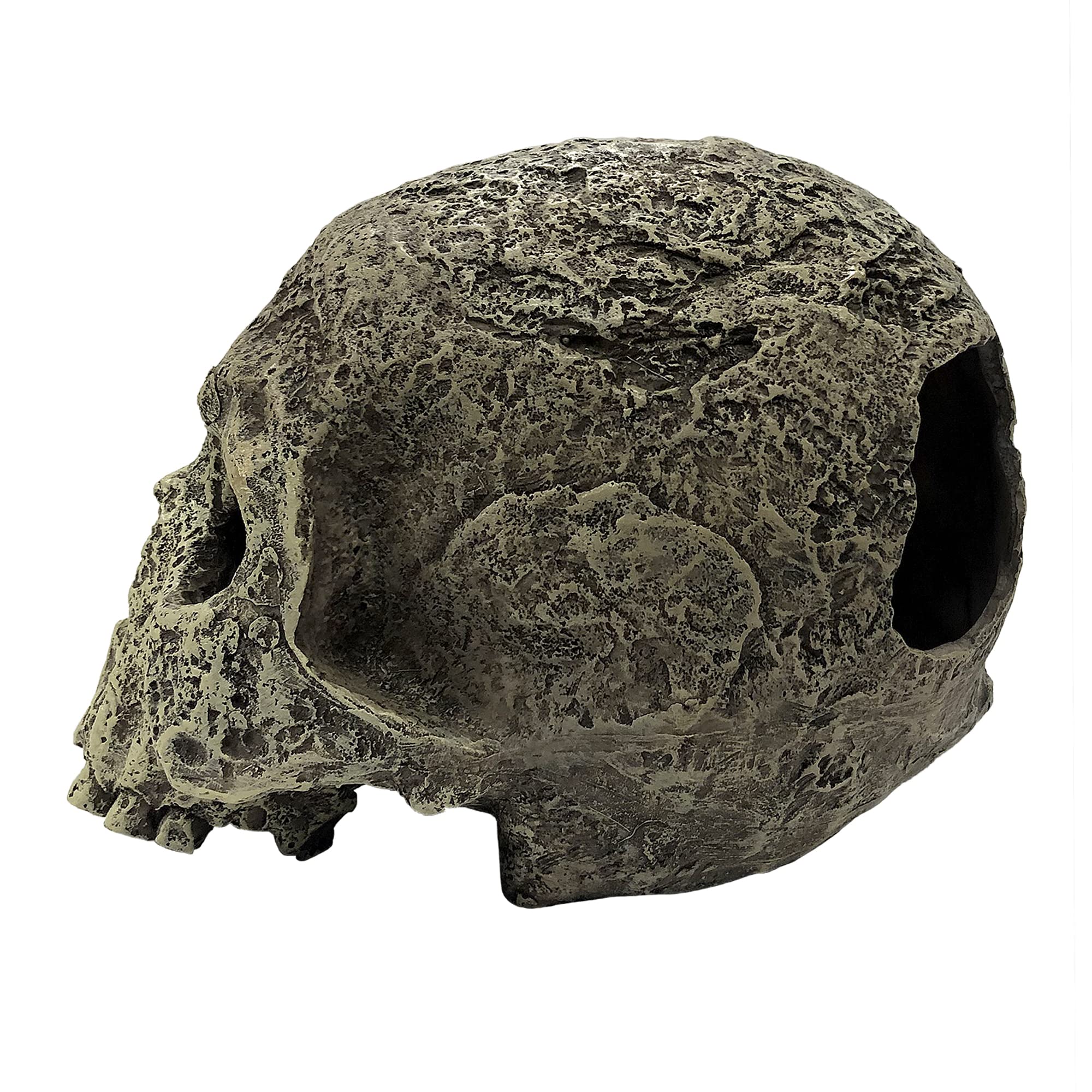 Komodo Reptile Terrarium Realistic Textured Human Skull Ornament Decor | Easy To Clean Under Water Aquarium Or Dry Habitat Decor