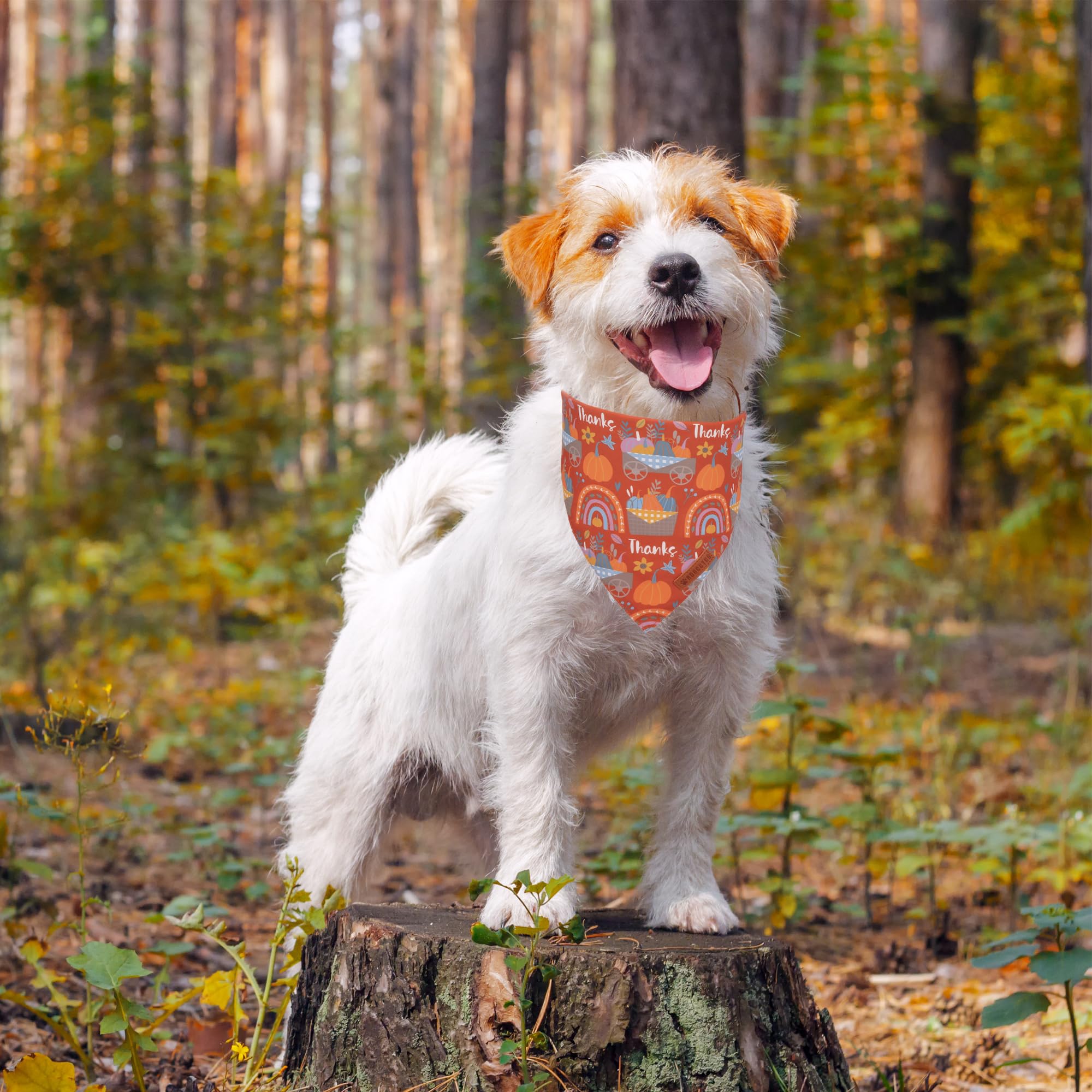 ADOGGYGO Thanksgiving Dog Bandana, Blue Orange Pumpkin Dog Scarf, Adjustable Fit Dog Fall Thanksgiving Bandanas for Large Small
