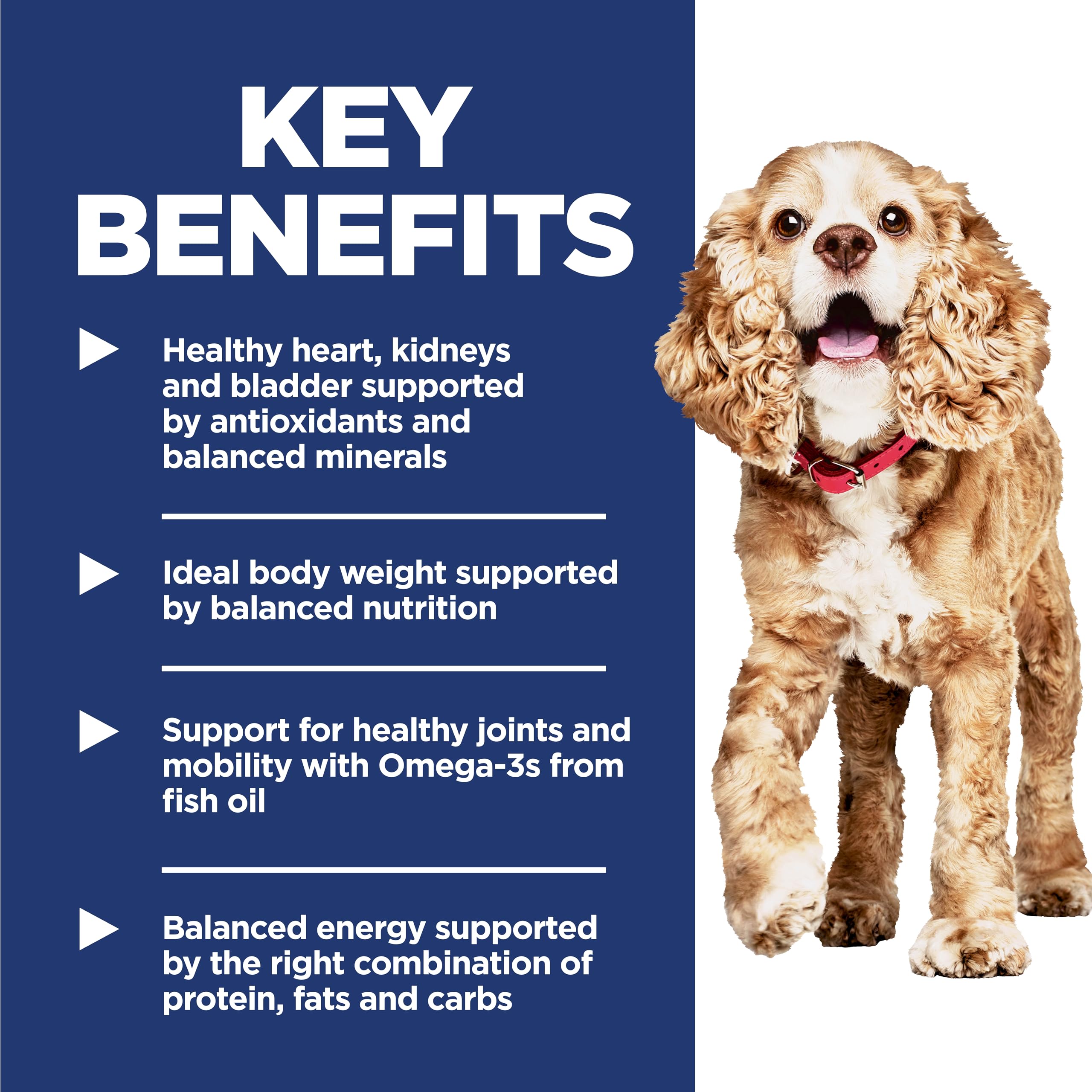 Hills Science Diet Adult 11+ Small & Mini Chicken Meal, Brown Rice & Barley Recipe Dry Dog Food, 15.5 lbs.