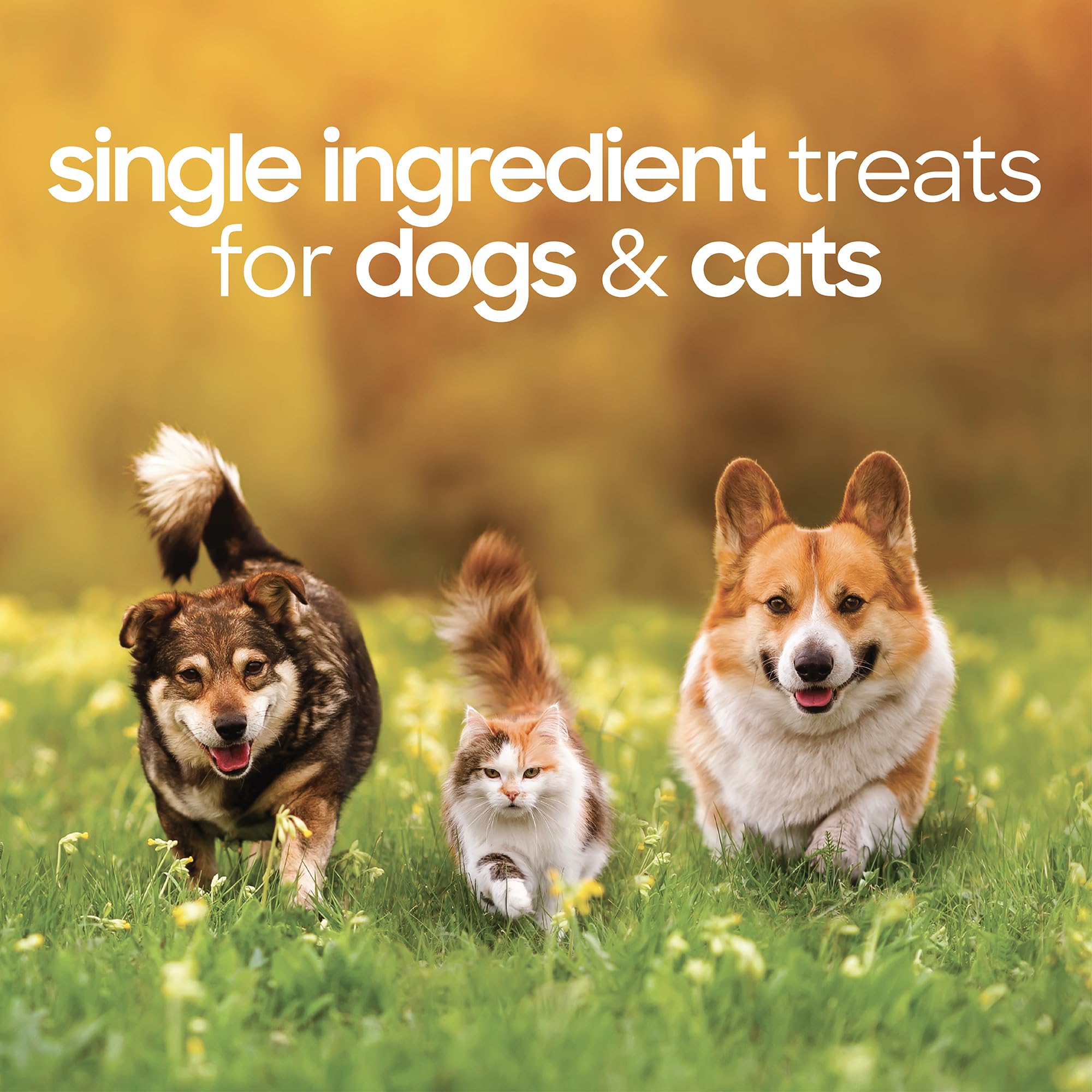 smallbatch Pets Premium Freeze-Dried Turkey Heart Treats for Dogs and Cats, 3.5 oz, Made and Sourced in The USA, Single Ingredie